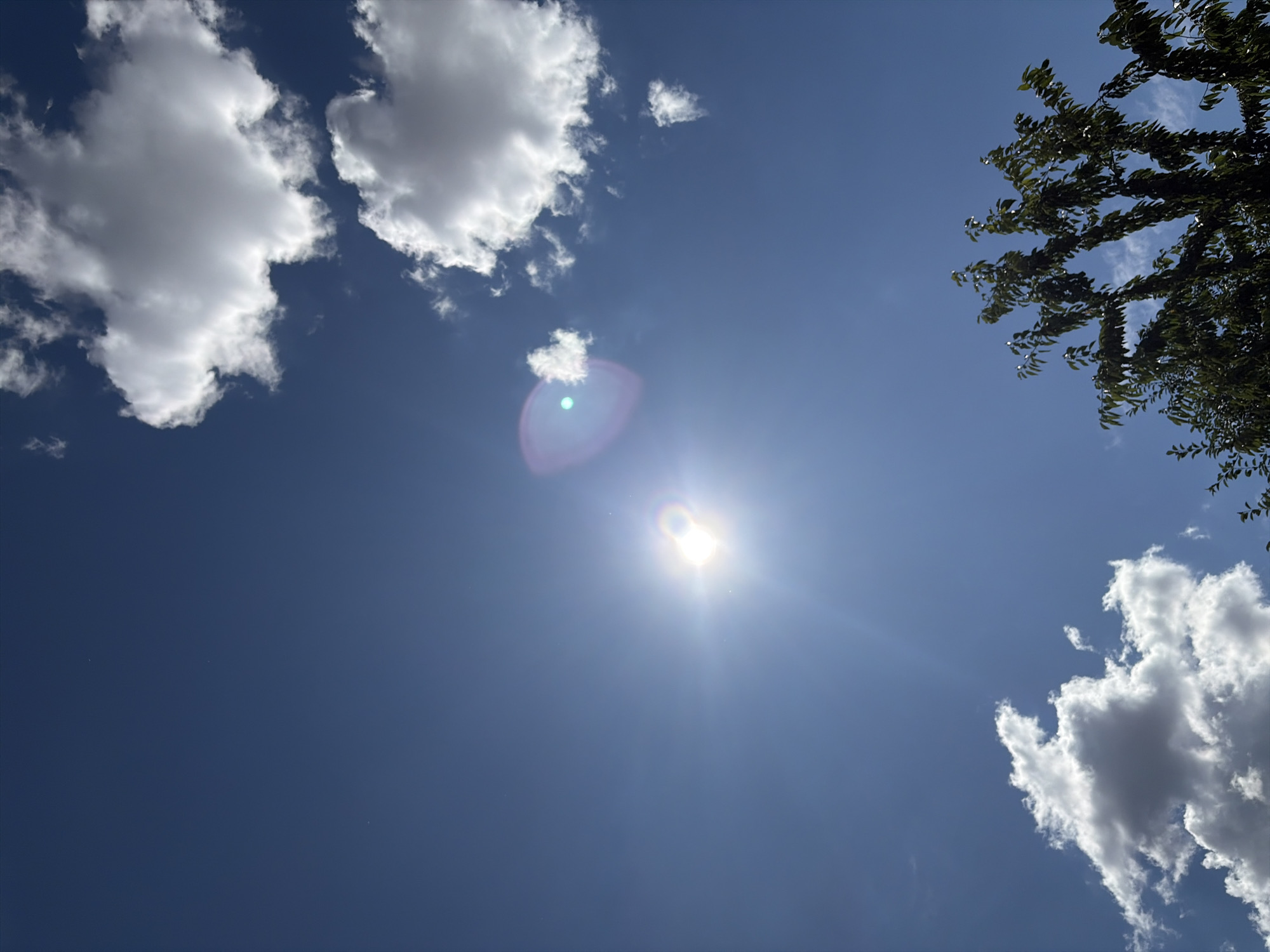 A bright sun shines in a clear blue sky over Oxentea, Moldova, with a few white clouds scattered throughout. The sun's rays cause a lens flare, creating a rainbow-like effect. In the lower right corner of the image, the dark green leaves of a tree are visible against the sky.