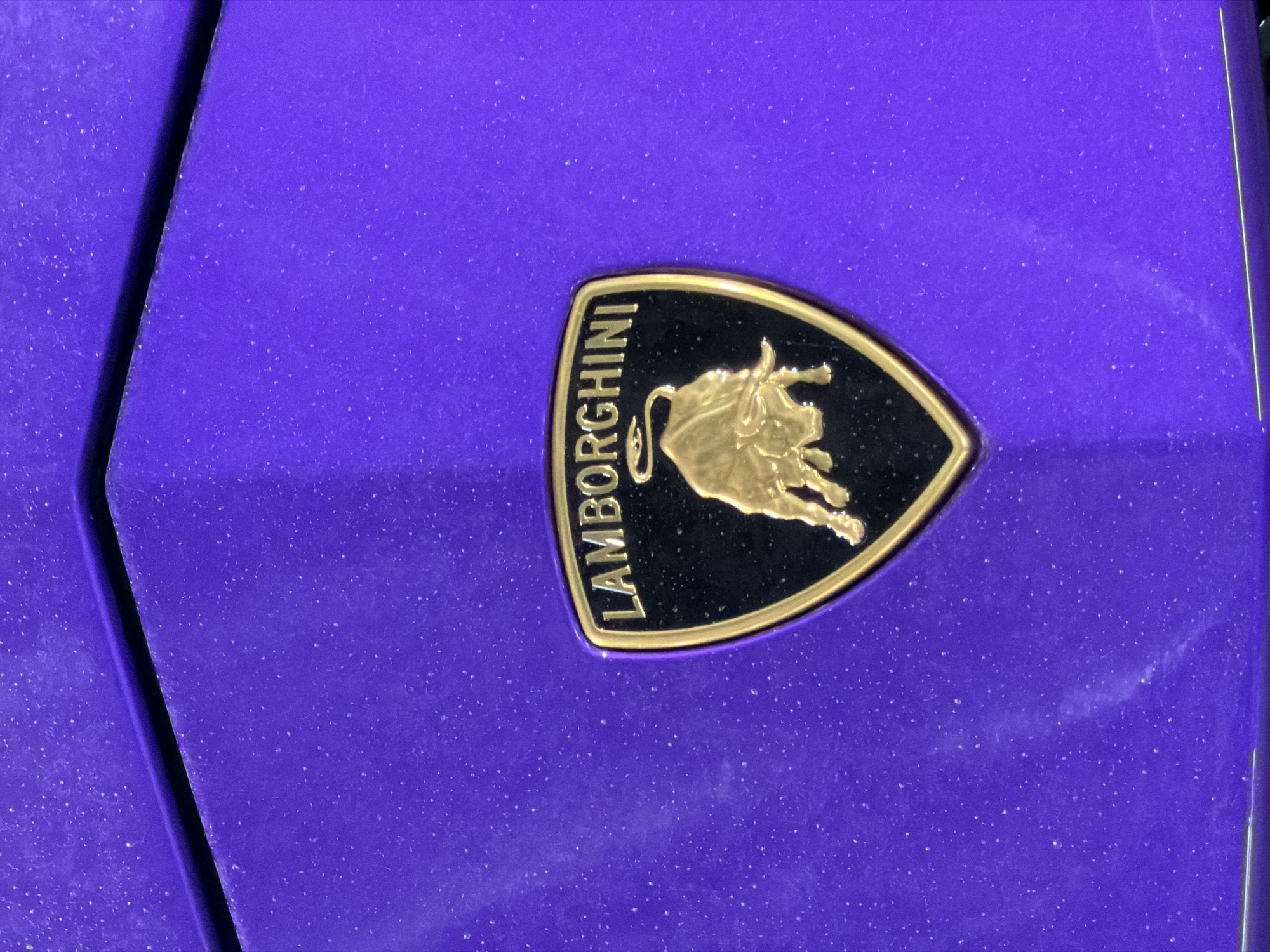 The image shows a close-up of a purple Lamborghini car, focusing on the brand's logo. The logo is a shield shape with a black background and a golden bull in the center, along with the word "Lamborghini" written vertically along the left side of the shield in gold letters. The car appears to be dusty. The image does not provide any information that suggests the location is in Moscow, Russia.