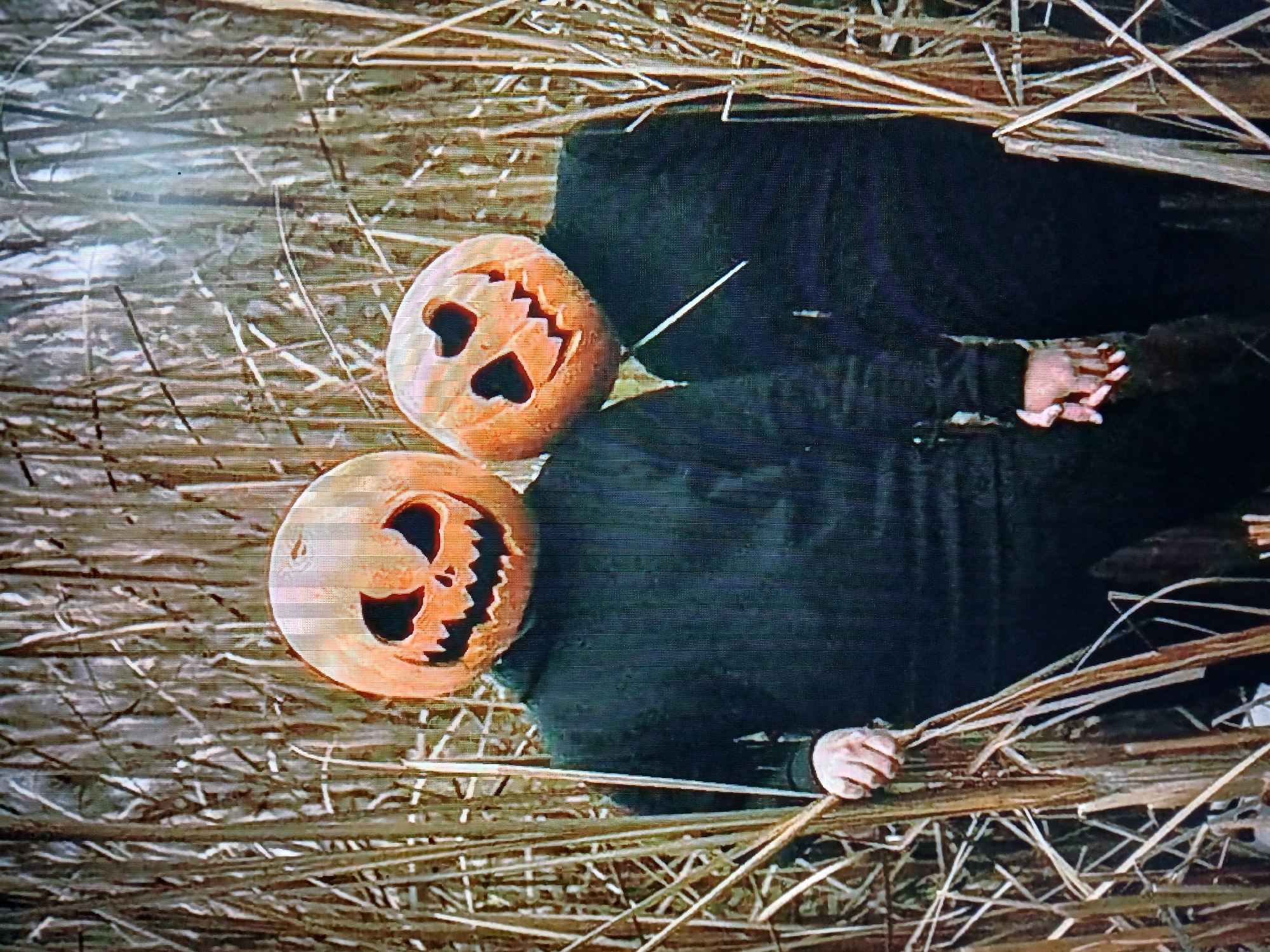 Two individuals are depicted wearing carved jack-o'-lanterns as heads. They are standing amidst dry, brown reeds or tall grass. The individual on the left has a jack-o'-lantern with a traditional carved face featuring jagged teeth and angry eyes. This person is wearing a dark hooded sweatshirt and dark pants. Their left hand is visible, holding onto some of the reeds. The individual on the right has a jack-o'-lantern with heart-shaped eyes. This person is wearing a dark jacket over a lighter-colored shirt or collar. Their hands are clasped together in front of them. The background consists of a dense arrangement of the dry reeds, obscuring any discernible location details. The lighting is somewhat muted, creating a slightly shadowy effect.
