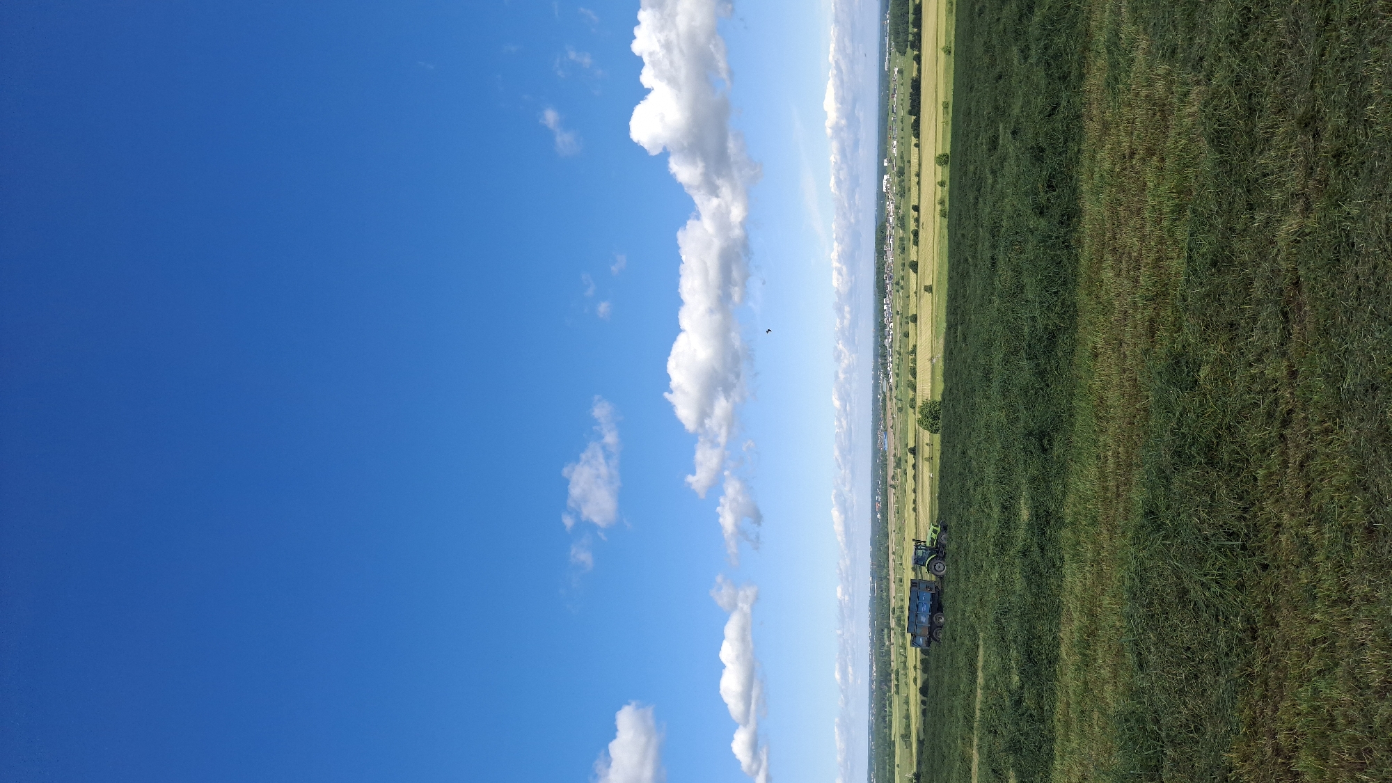 In Kaporskoe, Russia, a vast, freshly cut green field stretches across the landscape. A bright green tractor is positioned on the left side of the field, hitched to a blue trailer. The tractor appears to be in operation, though its exact activity is unclear from the image. The field is dotted with scattered trees, and in the distance, a small settlement with buildings and more trees can be seen. The sky above is a vibrant blue, populated by a few fluffy white clouds, and a lone bird is visible in flight. The overall scene depicts a rural agricultural setting under a clear sky.