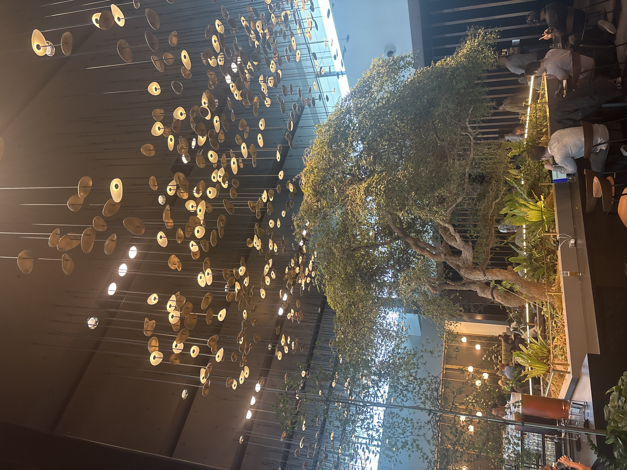 The image depicts an interior scene, possibly a restaurant or public space, characterized by a blend of organic and artificial elements. The foreground features a complex lighting installation suspended from the ceiling, comprised of numerous circular discs on thin cables, each illuminated to create a warm, diffused glow. The architectural design includes tall ceilings and a mix of natural light streaming in from above.
A mature tree, seemingly planted within the space, dominates the central part of the frame, with its branches and foliage spreading outwards. Adjacent to the tree is a raised platform or seating area where people are gathered, some seated at tables, suggesting a dining or social setting.
The general ambience of the space appears to be modern and upscale, with a focus on integrating natural elements into an urban setting. The image likely showcases a modern restaurant or public venue in the city of Atlanta, United States of America.