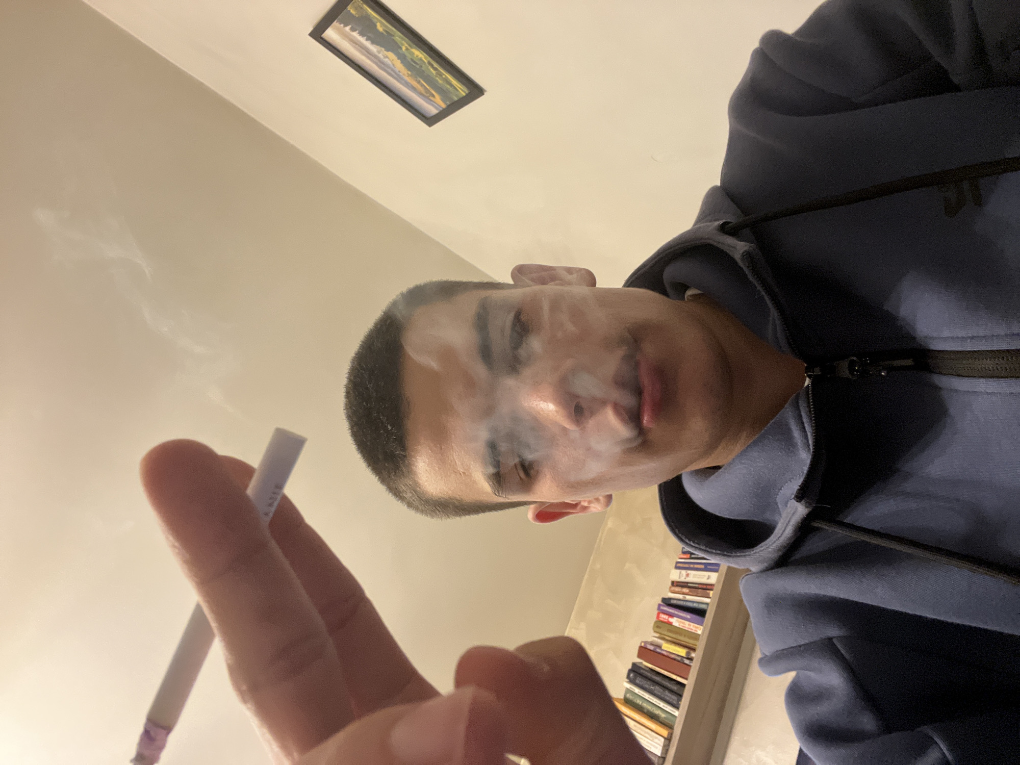 A person holds a lit cigarette, exhaling smoke. The person is wearing a dark blue hooded sweatshirt. A framed picture hangs on a wall in the background, as well as a bookshelf full of books. The location is not discernable from the given image; there is no indication it is in Plovdiv, Bulgaria.