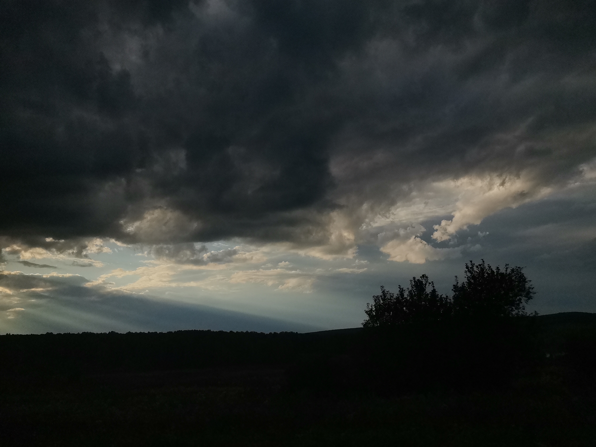 The image shows a dramatic sky over a silhouetted landscape. Heavy, dark clouds dominate the upper portion of the frame, with patches of lighter clouds and rays of sunlight breaking through on the left side, creating a crepuscular effect. The horizon line is low, showing a dark silhouette of trees and undulating terrain. On the right side, the dark silhouettes of several trees are visible against the lighter sky. The overall impression is one of an approaching or receding storm. The location is identified as Mitrofanovo, Russia, implying this is a rural or natural landscape within that region. No people or specific objects are identifiable in the scene due to the low light and silhouetting.