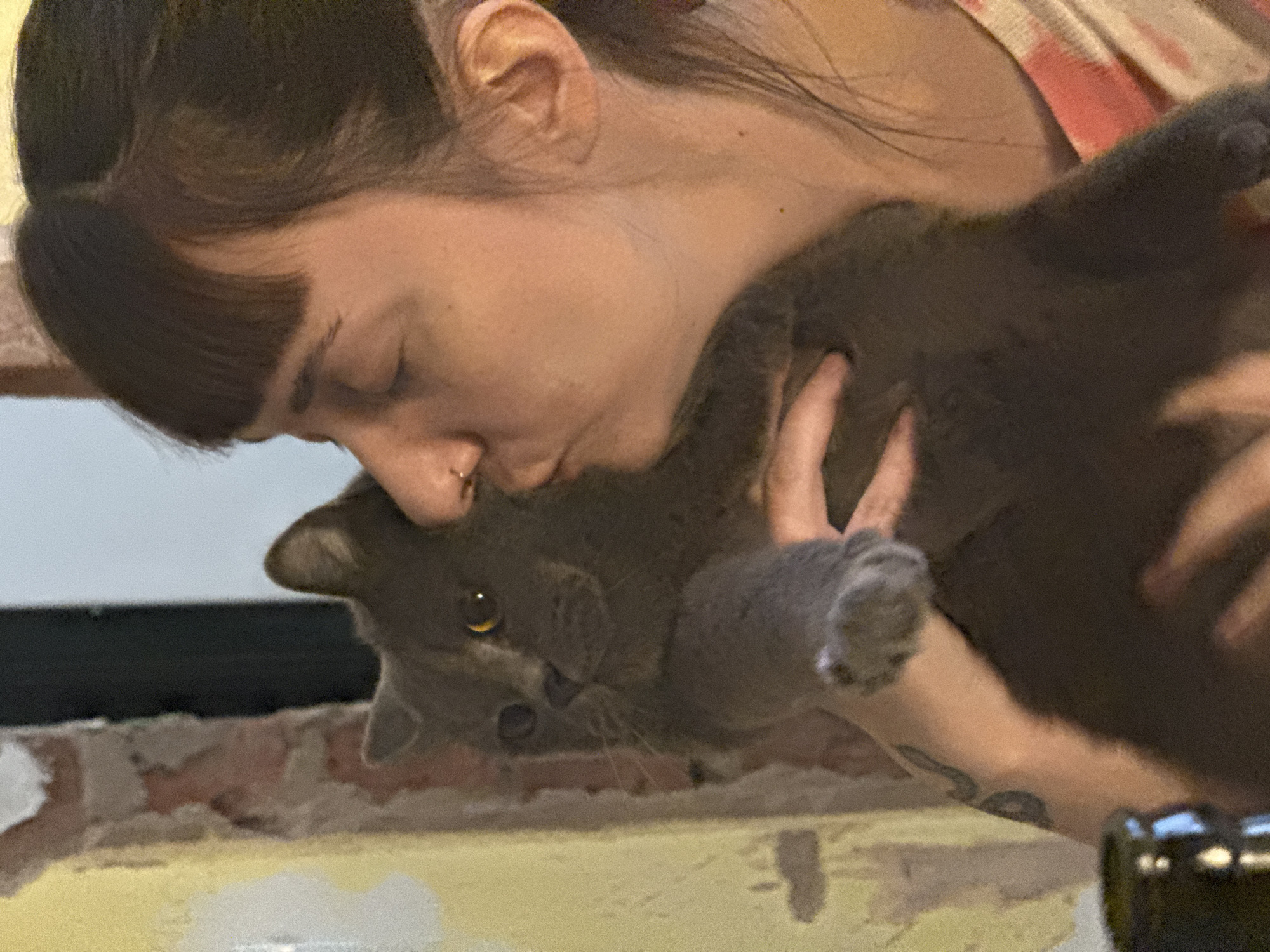 A person is holding and nuzzling a gray cat. The person has dark hair, a nose ring, and is wearing a light-colored, patterned shirt. The cat is looking towards the viewer with yellow eyes. The background appears to be an indoor setting with a partially visible brick wall and other furniture. There is no evidence to suggest the location is Votkinsk, Russia.