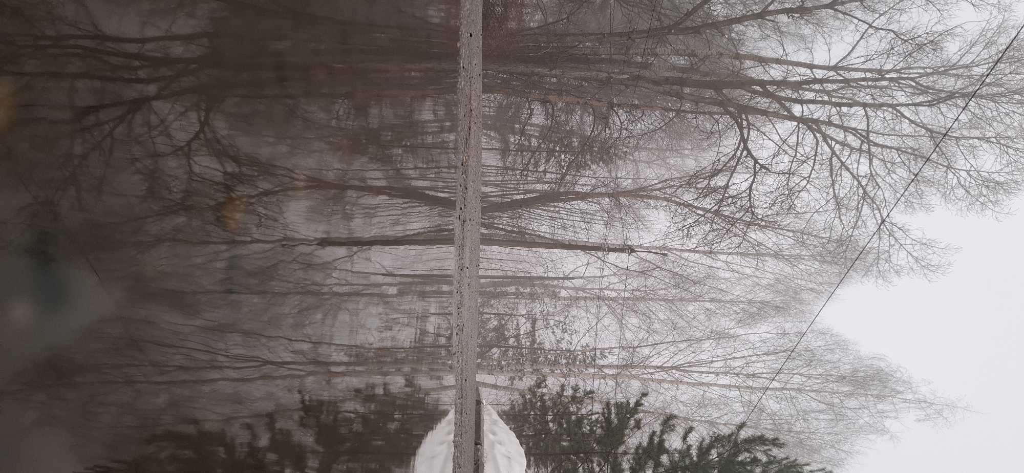 The image shows a vertical view of a scene in what appears to be Chaikovsky, Russia. A concrete structure divides the image vertically down the center. To the right of the structure, bare trees with thin branches are visible against a foggy, overcast sky. A dark, thin wire stretches diagonally across this section. To the left of the concrete structure is a mirrored reflection of the trees, appearing as if the image is split by a body of water. Below the reflections, a section of dark green coniferous trees is visible. The overall atmosphere is cold and muted, with a strong emphasis on the bare branches and the gray sky.