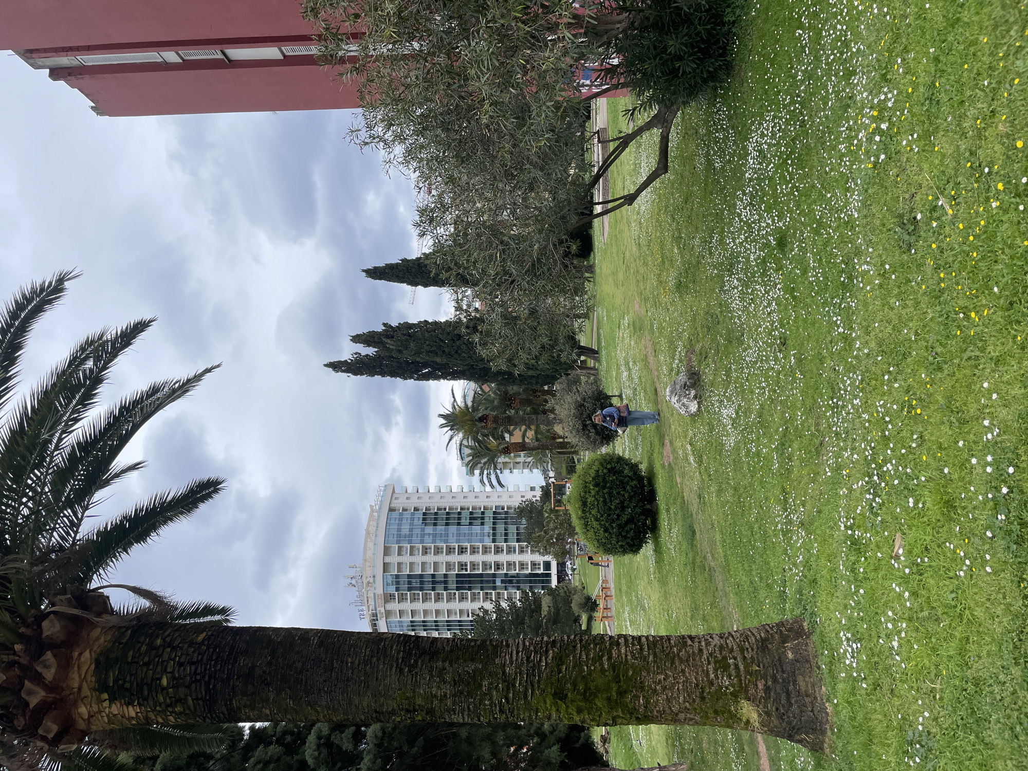 The image depicts a park in Budva, Montenegro, with a tall, modern building in the background. In the foreground is the trunk of a palm tree on the left side. The park is covered in green grass with numerous small white and yellow flowers scattered throughout. Several trees of varying types are present. A person is lying on the grass in the middle of the scene. A red building is seen in the top left corner of the image. The sky is overcast with grey clouds.