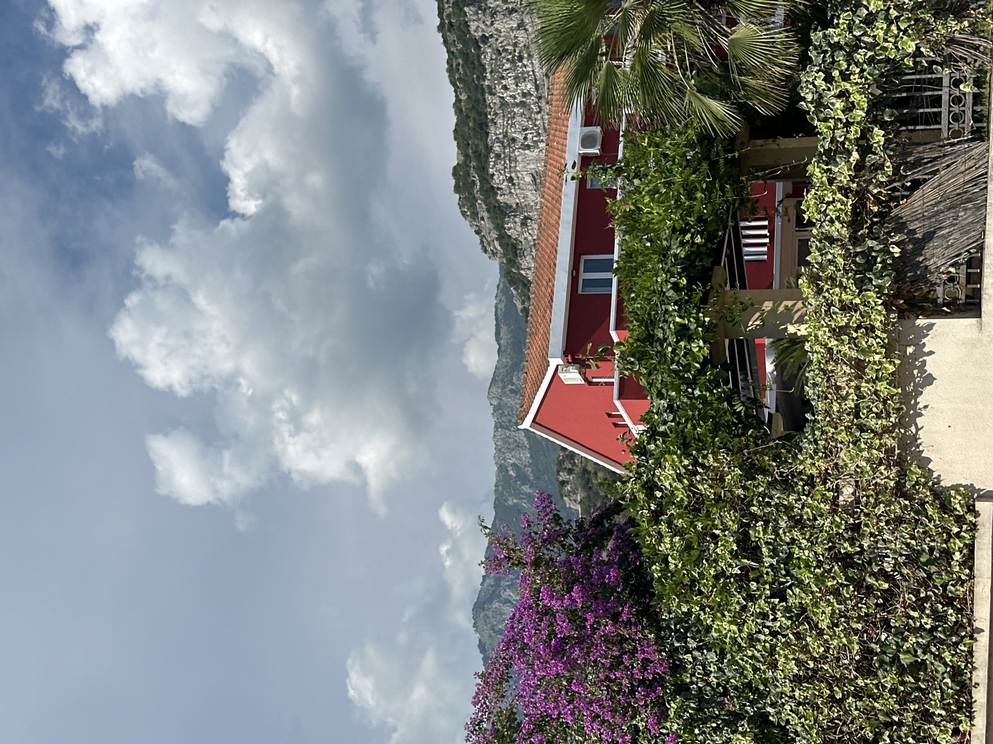 A vibrant red house stands amidst lush greenery in Budva, Montenegro. The house, with its terracotta-tiled roof, is partially obscured by dense foliage and a flowering bush with bright purple blossoms. Behind the house, rugged, tree-covered mountains rise against a sky filled with dramatic, grey and white clouds. A palm tree is visible on the right side of the frame. The scene suggests a sunny day, though the clouds indicate potential for changing weather.