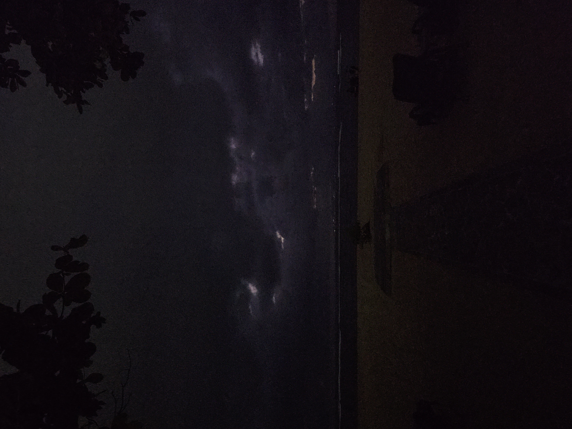 The image shows a dark scene with vegetation in the foreground on the left. Adjacent to the vegetation, and moving towards the right side of the image, is a dark, shadowed wall with light patches or smudges. Further to the right, there is a portion of a light-colored wall. The image appears to be taken at night or in very low light conditions. There is not enough information to determine the precise location within Denpasar. There are no people present.
