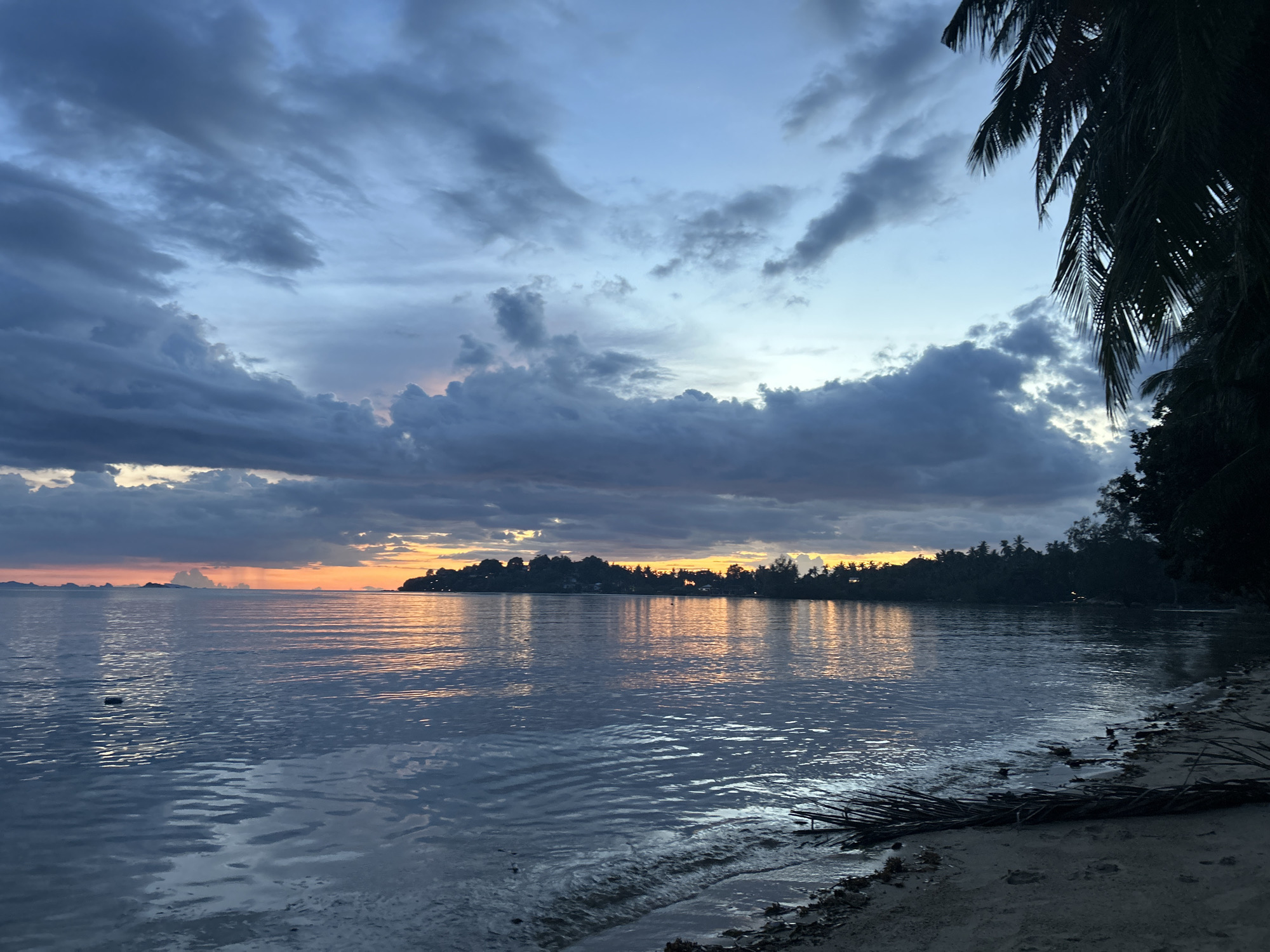 The image depicts a serene sunset scene at Koh Phangan, Thailand. The sky is filled with dramatic, dark clouds, with hints of orange and pink from the setting sun peeking through. The ocean is calm, reflecting the colors of the sky. A silhouetted line of trees and buildings can be seen on the distant shore, suggesting a coastal settlement. In the foreground, the sandy beach is visible, with some dried palm fronds scattered on it, and gentle waves lapping at the shore. A single dark object is floating in the water. The overall atmosphere is peaceful and tranquil, characteristic of a tropical evening.