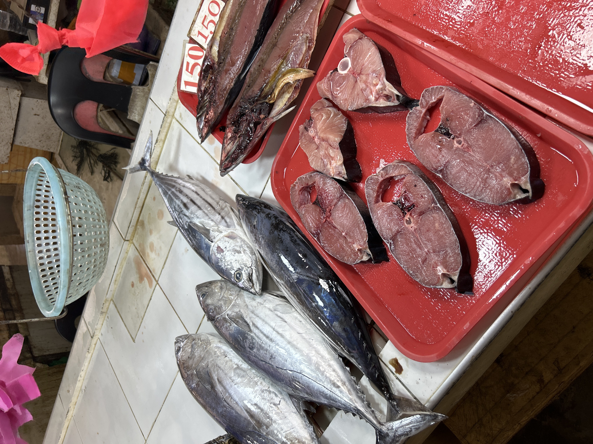 This image depicts a fresh fish stall at a market in General Luna, Philippines, displaying a variety of fish for sale. The scene is dominated by numerous fish arranged on a white tiled counter and within two bright red plastic trays.
On the white counter, several whole fish, likely a species of mackerel tuna or small tuna, are laid out. These fish are streamlined with silvery-grey skin; one prominent specimen clearly shows distinct dark stripes along its body.
Adjacent to these, within the red plastic trays, are larger fish. Two are presented as whole, gutted fish, with their internal cavities exposed, revealing dark red flesh and some yellowish organic matter. Several other large fish are cut into thick, circular steaks, showcasing their firm, dark red muscle tissue, typical of tuna. The red trays appear wet, suggesting the fish are kept fresh.
Other objects visible include a light blue perforated plastic basket hanging on the left side, a partially seen black plastic chair, and a piece of red fabric or plastic material near the top left corner. A handwritten sign with "150/150" in red lettering is prominently displayed, indicating pricing, likely per unit or kilogram. The white tiled counter shows some signs of use and discoloration. The overall setting captures the functional and bustling environment of a local wet market.