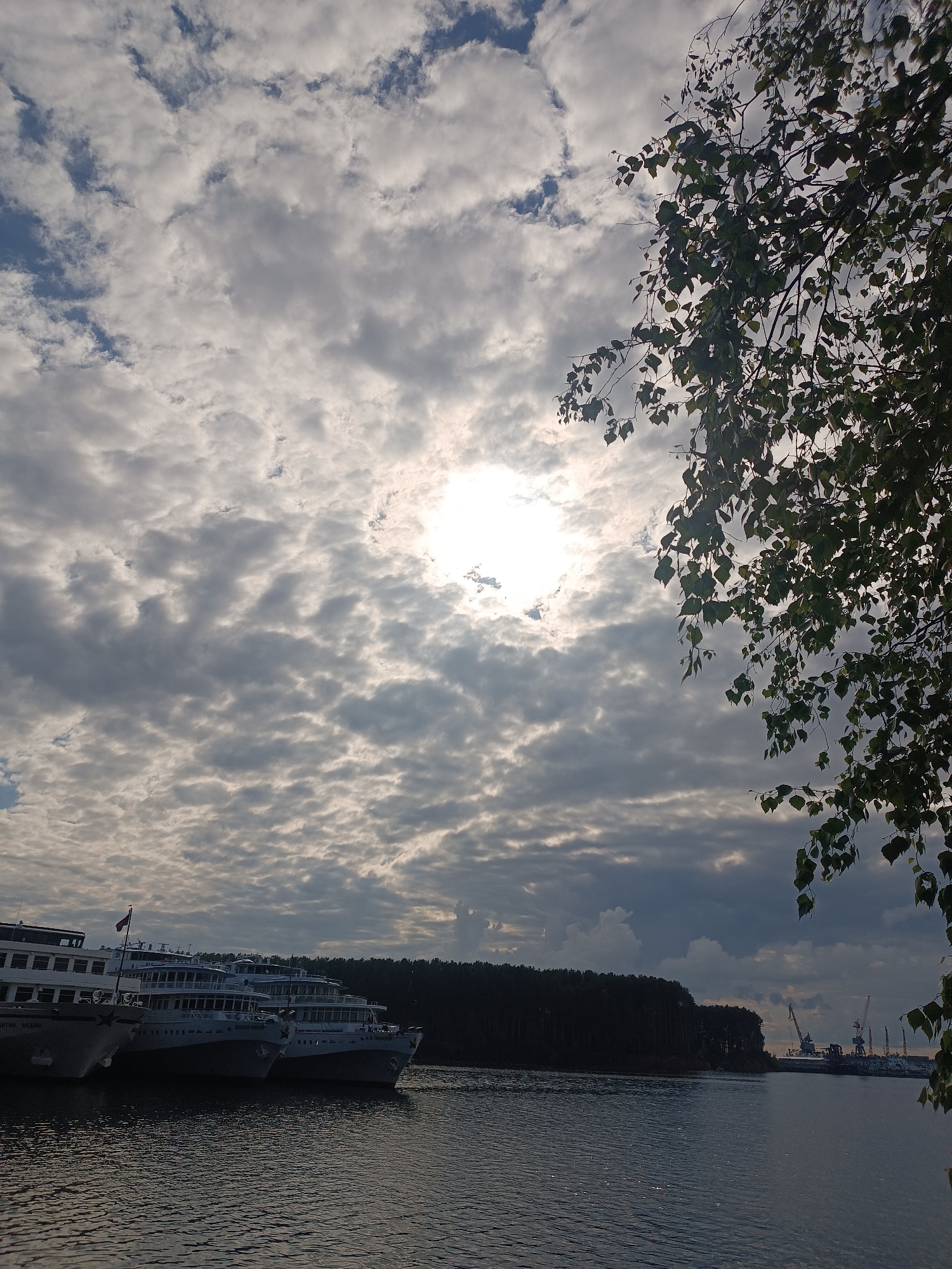The photograph depicts a wide view of a river scene in Chaikovsky, Russia, under a dramatic, cloudy sky. In the upper part of the frame, the sun intensely breaks through a thick layer of grey and white clouds, creating a bright, almost glowing area in the upper-middle. A leafy tree branch extends into the frame from the upper right, silhouetted against the bright sky.
In the mid-ground, a row of large, multi-deck passenger ships or riverboats is moored on the water. These vessels are predominantly white with dark hulls. A red flag flies from the mast of one of the ships. The name "ГЕОРГИЙ ЖУКОВ" (GEORGIY ZHUKOV) is clearly visible in Cyrillic script on the bow of one of the vessels, accompanied by a red star emblem.
Beyond the ships, a dense, dark forest lines the distant bank of the river. To the right, further down the riverbank, industrial cranes and other vessels indicate the presence of a port or shipyard. The water in the foreground is dark and shows subtle ripples, reflecting the subdued light from the sky. The overall impression is one of a calm but visually striking moment, likely late morning or afternoon, with the sun struggling to shine through the heavy cloud cover. There are no visible people or explicit activities occurring, suggesting a quiet interlude on the waterway.