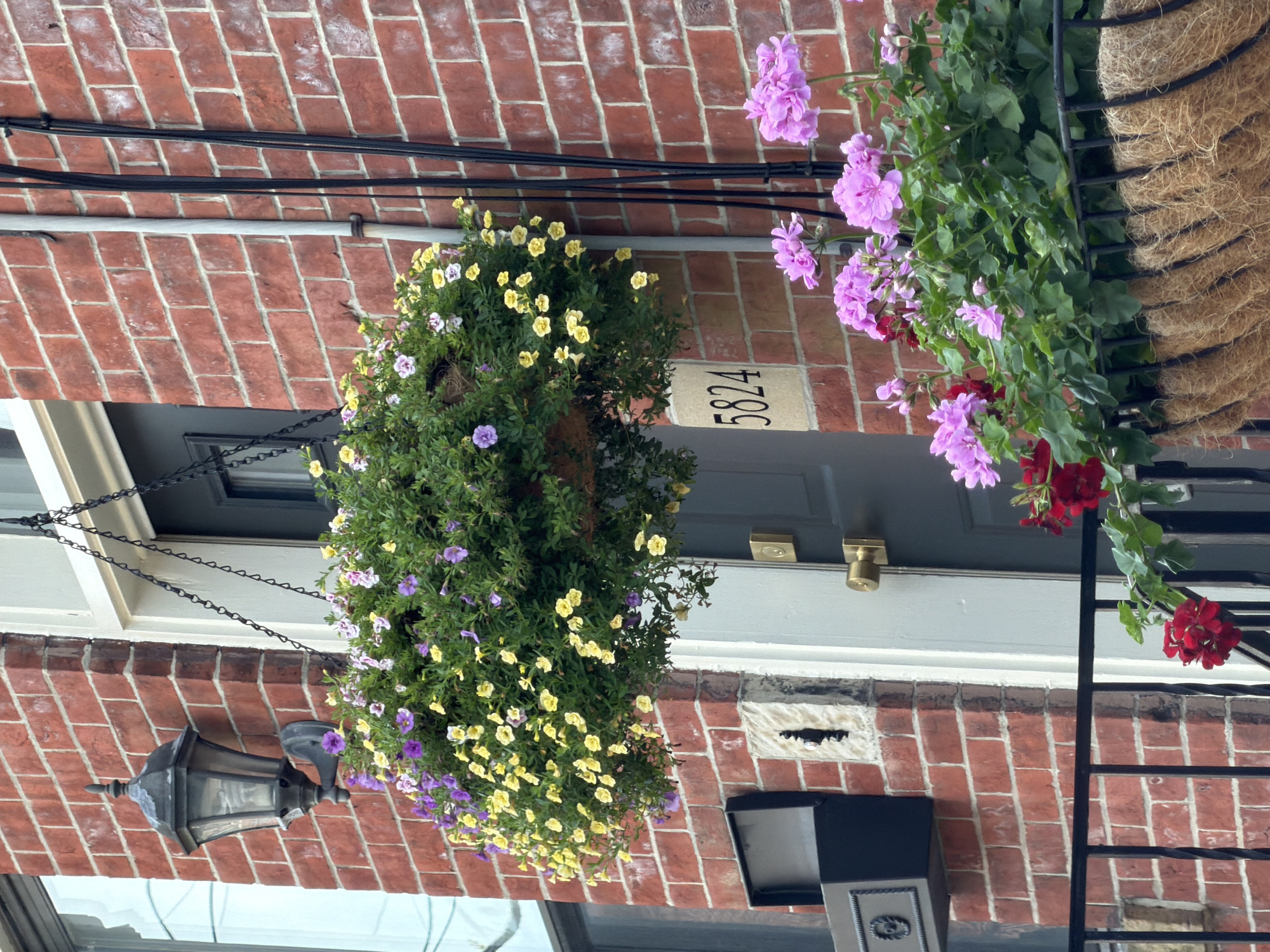 This is a medium shot, outdoor, eye-level photograph of a brick building exterior, likely in Pittsburgh, United States of America. The building has a red brick facade with white trim around a dark grey door. Above the door, a hanging basket overflowing with yellow and purple flowers is suspended by a black chain. To the left of the door, a black outdoor lamp is mounted on the brick wall, and below it, a black mailbox with decorative detailing is attached to the wall. To the right of the door, two black electrical conduits run vertically down the brick. Below the hanging basket and to the right of the door, the number "5824" is clearly visible on a beige stone section of the building. In the foreground, a black metal railing encloses a balcony or porch, and a planter box filled with pink and red geraniums sits atop the railing, with coconut coir liners visible on the outside of the planter. The overall lighting suggests it is daytime, possibly overcast or shaded.
