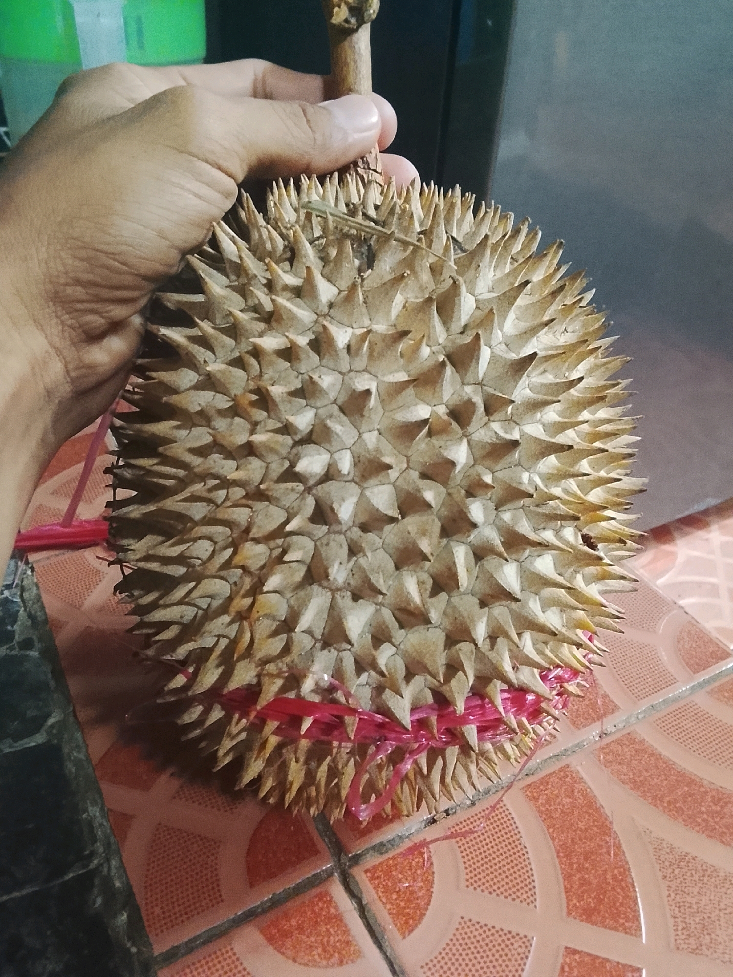 A person's hand is holding the stem of a durian fruit, which is covered in sharp spikes. The fruit is bound with a pink string at its base. The durian rests on a tiled surface with an orange and white geometric pattern. The background is out of focus, showing some green and dark surfaces.