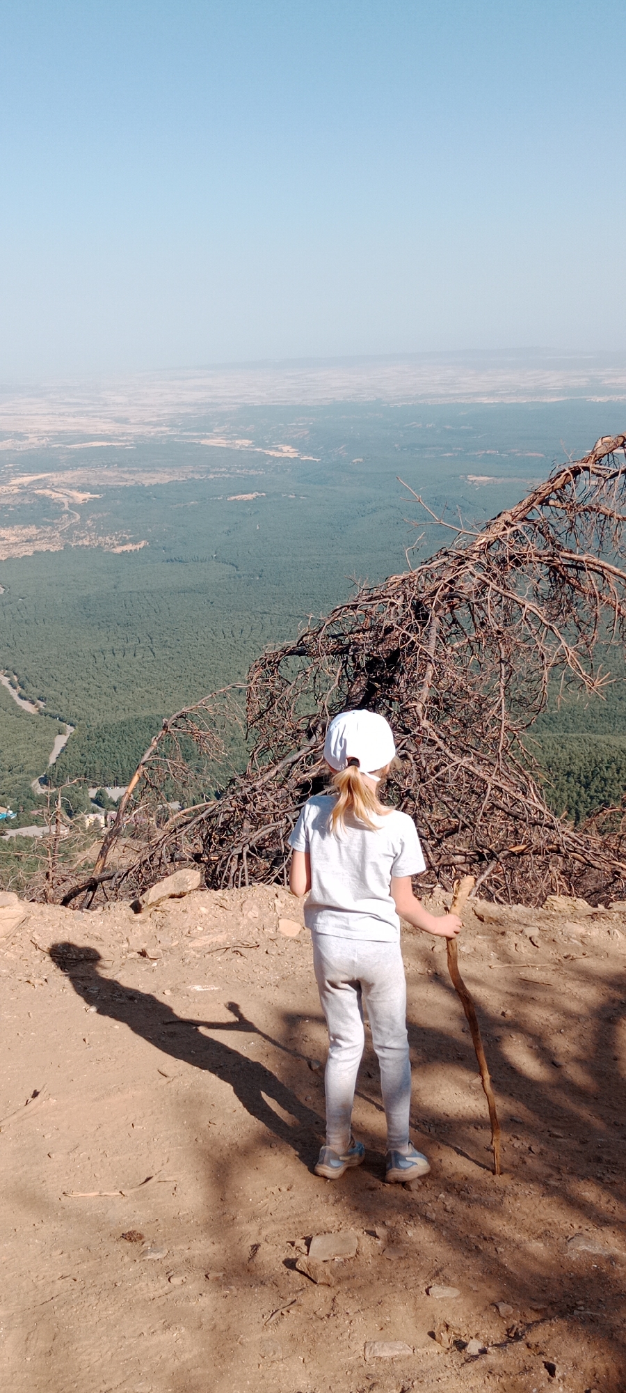 A young girl, seen from behind, stands on a rocky, sun-drenched slope overlooking a vast forested valley. She wears a white baseball cap, a white t-shirt, and grey leggings, and holds a wooden stick in her right hand. The dry, gnarled branches of a dead tree frame the foreground, casting a long shadow on the dirt path. The valley below is densely covered with dark green trees, and a winding road is visible in the distance. The sky is a pale, cloudless blue, fading into a hazy horizon. The scene appears to be in the vicinity of Cerezo de Arriba, Spain, a location known for its mountainous terrain and scenic views.