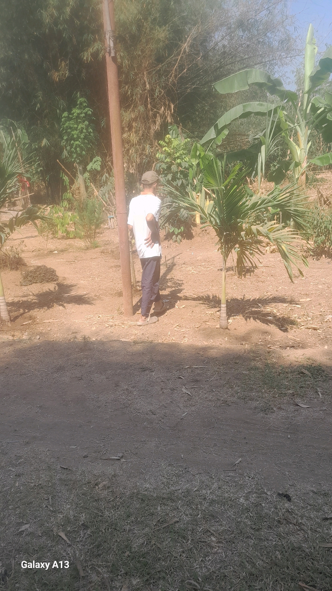 A man wearing a white t-shirt and dark pants stands in a dirt area with sparse vegetation and a rusty pole. He is facing away from the camera, with his left hand on his hip and his right arm slightly raised. Behind him, a dense forest of bamboo and other trees is visible. The ground is covered in dry leaves and dirt. In the foreground, there is a patch of grass and more dry leaves. The overall lighting suggests it is daytime, with sunlight casting shadows. The scene appears to be in a rural or semi-rural outdoor environment. The "Galaxy A13" watermark in the bottom left corner indicates the device used to capture the image, but it does not provide specific location information within Hadipolo, Indonesia.