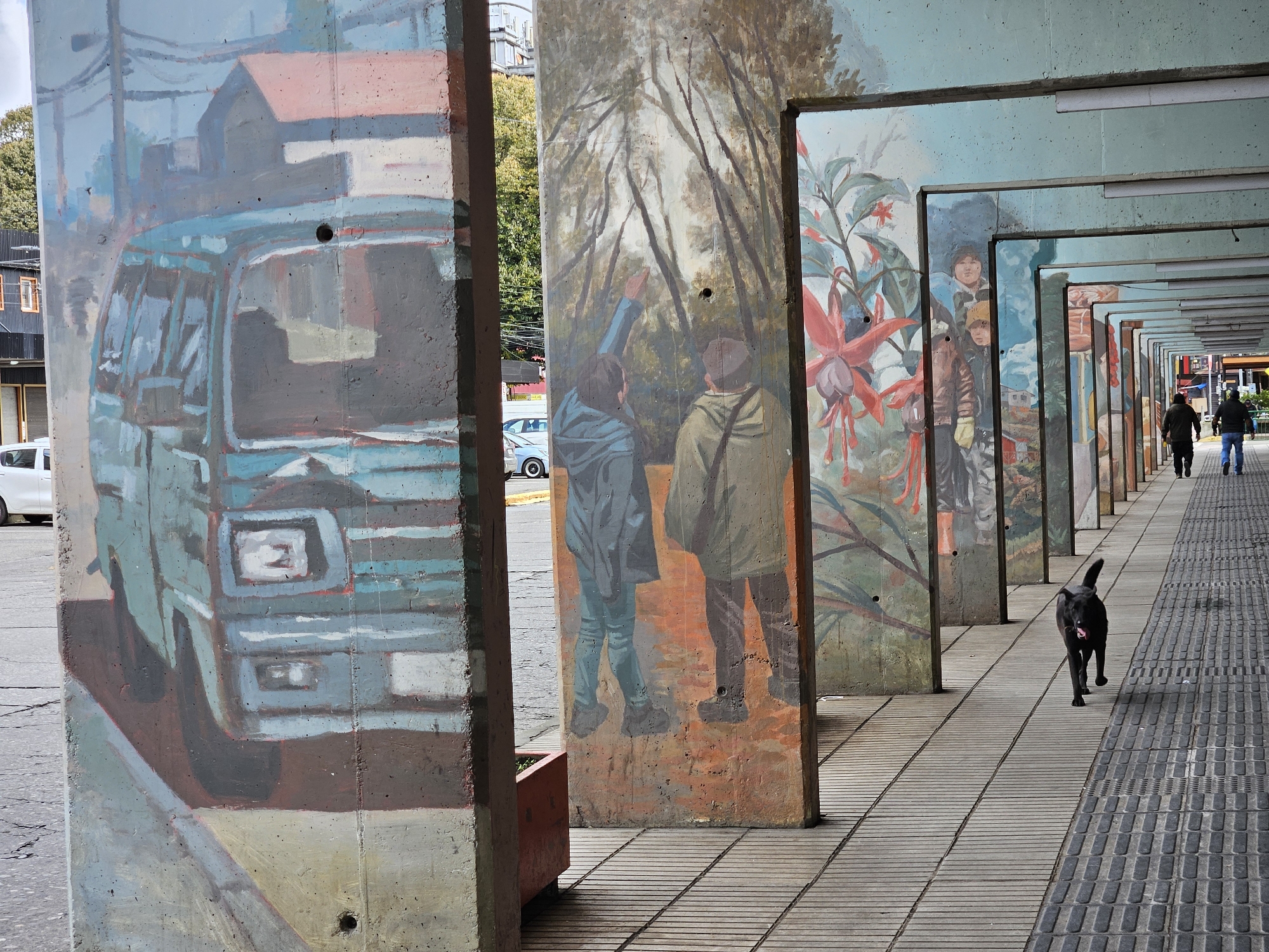 This image captures a covered pedestrian walkway in Osorno, Chile, adorned with colorful murals on its concrete support pillars. The ground features a combination of smooth paving and textured tactile strips, extending into the background.
On the left, the first visible pillar displays a mural of a light blue van or mini-bus, with a house and power lines painted in the background. The next pillar features two figures, seen from behind, gazing upwards at tall trees; one figure is depicted pointing towards the sky. Further along the walkway, subsequent pillars showcase vibrant murals, including large red and pink fuchsia-like flowers, portraits of individuals (appearing to be children or young adults), and distant landscapes or town scenes.
In the foreground on the right, a black dog with its mouth slightly open and tail wagging is captured in motion, running towards the viewer on the paved walkway, casting a distinct shadow. Further down the passage, two adults are walking away from the camera, dressed in dark jackets. Beyond the pillars on the left, a white car is partially visible, along with glimpses of trees and urban buildings.
The scene is illuminated by natural daylight, indicated by the clear shadows, suggesting a time of day like late morning or early afternoon. The weather appears fair, though the visible sky through the gaps in the pillars is overcast. The atmosphere is calm, with the murals adding a dynamic and artistic element to the public space. No discernible text is visible in the image.
