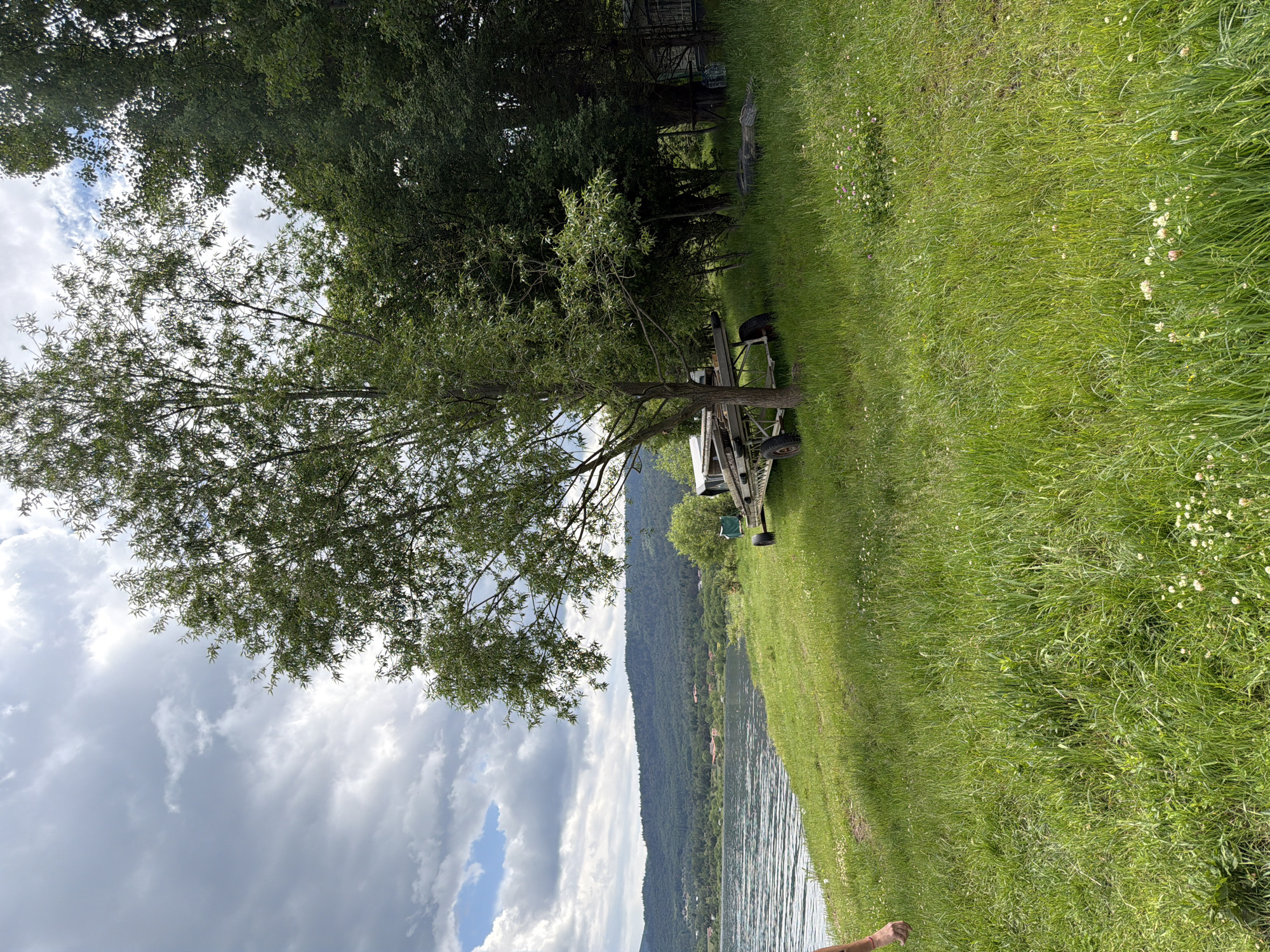 The image captures a lakeside scene in Цигов чарк, Bulgaria, under an overcast sky with visible patches of blue. In the foreground, dense green grass, interspersed with white and pink clover, slopes down towards a body of water. A human hand and forearm are partially visible entering the frame from the lower-left. The midground features a large, dark-colored lake with rippled surface texture, extending to the left. A prominent deciduous tree with light green foliage stands center-right on the grassy bank. Beneath this tree, a white, multi-wheeled boat trailer with rusty wheels is parked on the grass. To the right of the trailer, a cluster of darker, denser trees forms a wooded area, partially obscuring other objects on the ground, including what appear to be stacked tires or dark materials. In the background, a series of forested mountains spans the horizon across the lake, with scattered buildings visible along the distant shoreline at their base. The sky above is largely covered by grey and white clouds.