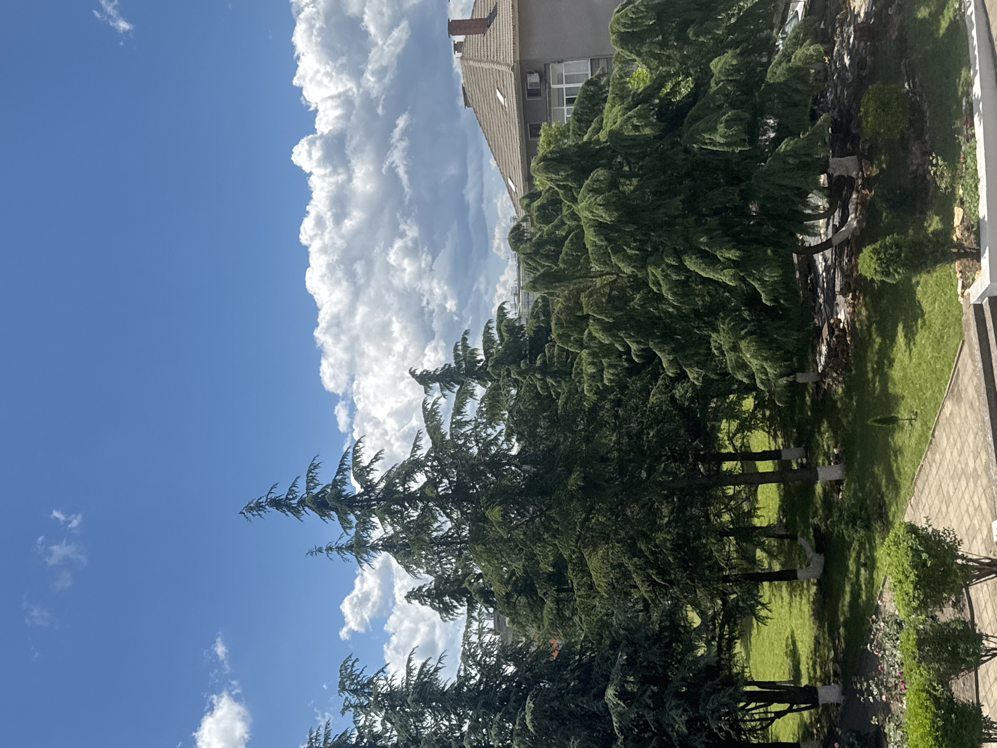 The image shows a view of a building and trees against a blue sky with white clouds. The building has a brown tile roof and light-colored walls. The trees are tall and green, with dense foliage. There is a grassy area with some shrubs and flowers. It is daytime. The location is Elhovo, Bulgaria.