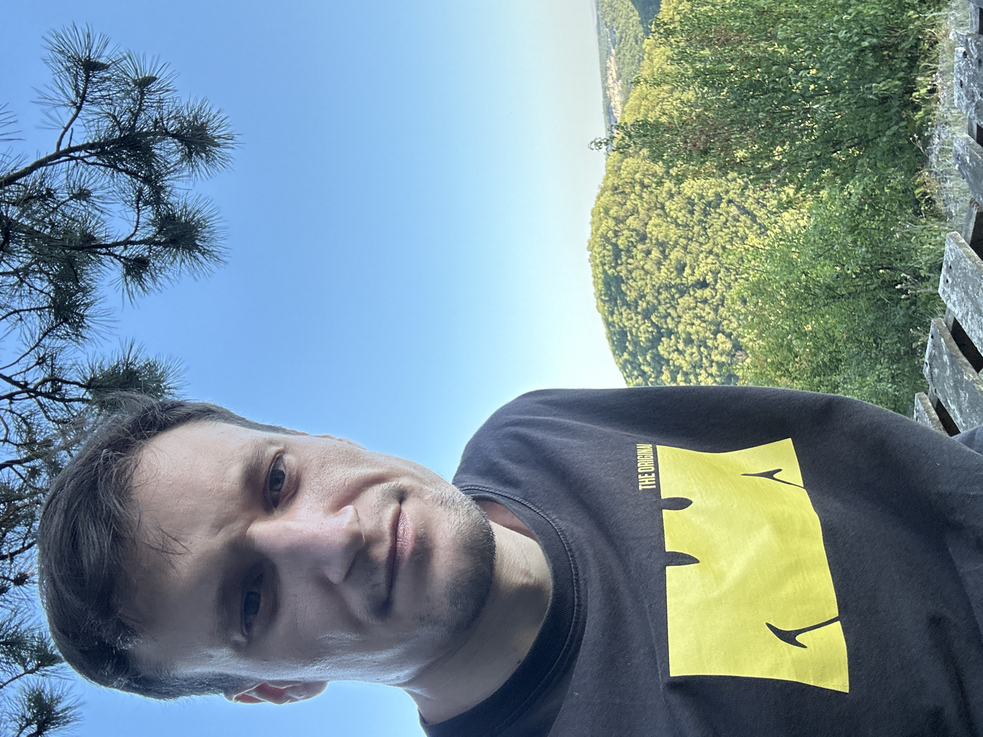A man stands in front of a wooded hillside under a clear blue sky, with pine branches overhead. He is wearing a dark t-shirt with a yellow graphic and the words "THE ORIGINAL" printed above it. In the background, a densely forested mountain landscape stretches out, with some buildings visible in the distance. The scene appears to be captured from a slightly elevated position, possibly a viewpoint or a park in Pryvorottia Druhe, Ukraine.
