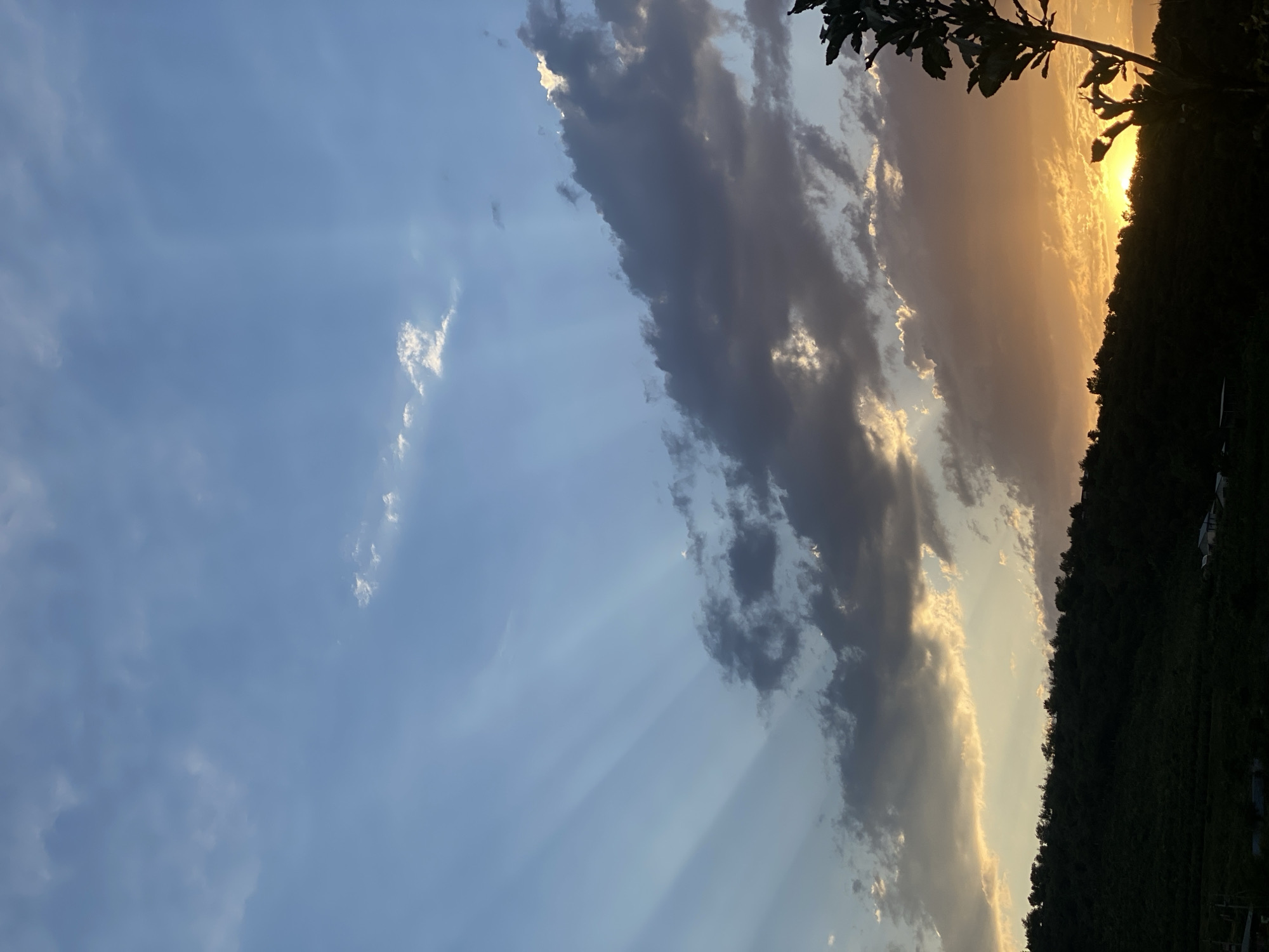 The image captures a scenic view of a sunset over a densely forested hillside, likely in Almaty, Kazakhstan. The sky is a dramatic display of light and shadow, with the sun setting on the right side of the frame, casting a warm, golden glow. This light breaks through a band of dark, dramatic clouds, creating visible sunbeams that stretch across the lighter blue sky on the left. The sun itself is not directly visible, obscured by the clouds and the silhouette of the trees.
The foreground features the dark, undulating line of trees that form the hillside, their foliage a deep green, almost black in the fading light. A silhouetted branch with leaves is visible in the upper right corner, framing the sunset. On the far right edge, a glimpse of what appears to be some small structures or buildings can be seen nestled amongst the trees, suggesting a rural or semi-rural setting.
The overall mood is serene and awe-inspiring, characteristic of a beautiful sunset. The play of light and shadow, with the sunbeams piercing through the clouds, adds a sense of depth and dynamism to the scene. The time of day is clearly sunset, with the intense orange and yellow hues indicating the sun is low on the horizon. There is no visible text in the image.
