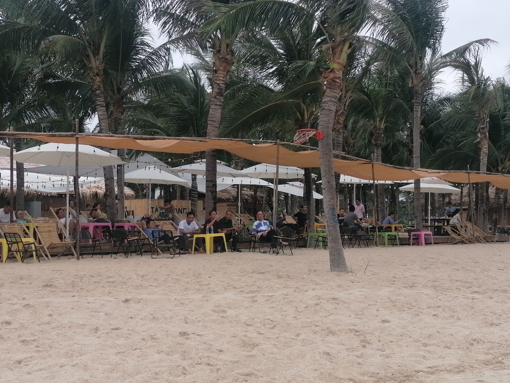 This image depicts a vibrant, yet relaxed, beachside establishment in Bai Chay Ward, Vietnam. The scene is set on a sandy beach, with numerous people, primarily adult males, seated at various tables and chairs. The furniture includes wooden lounge chairs, and plastic chairs and tables in bright colors like yellow, pink, and green.
The area is shaded by large white beach umbrellas and long, light brown fabric awnings strung between wooden poles and palm trees. Underneath these awnings and umbrellas, strings of decorative lights with visible bulbs are hung. A dense line of tall palm trees forms the backdrop, reinforcing the tropical setting.
The people are engaged in leisure activities, appearing to be relaxing, conversing, or enjoying the beach atmosphere. Their casual attire suggests a laid-back environment. The sky is overcast, providing soft, diffused lighting typical of a cloudy day. A distinct red object, possibly a broken basketball hoop net, is visible hanging from a palm tree trunk. Partially visible text on a wooden sign in the background reads "TA" and "ANG". The overall scene portrays a popular spot for casual relaxation by the sea.
