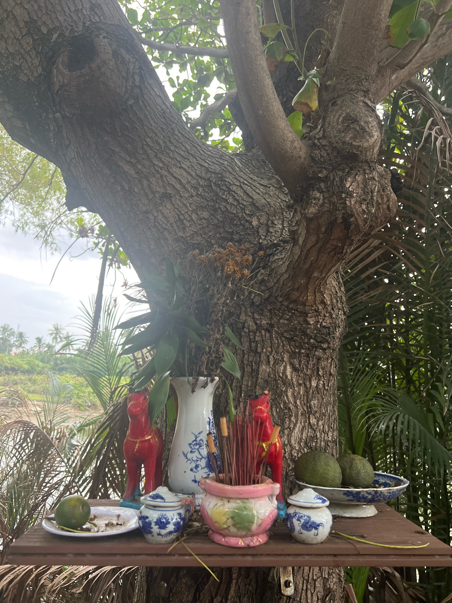 An outdoor altar is set up on a wooden shelf attached to the base of a large tree. The altar features several objects, including a white vase with blue floral patterns, two red horse figurines, a pink and green ceramic pot filled with incense sticks, two small lidded ceramic containers with blue designs, a plate with a green fruit and some scattered ashes, and a decorative blue and white bowl containing two green fruits. The background shows lush vegetation, including palm fronds and other tropical plants, with a body of water and a distant landscape visible under an overcast sky. The scene is situated in Hoi An, Vietnam. There are no people visible in the image.
