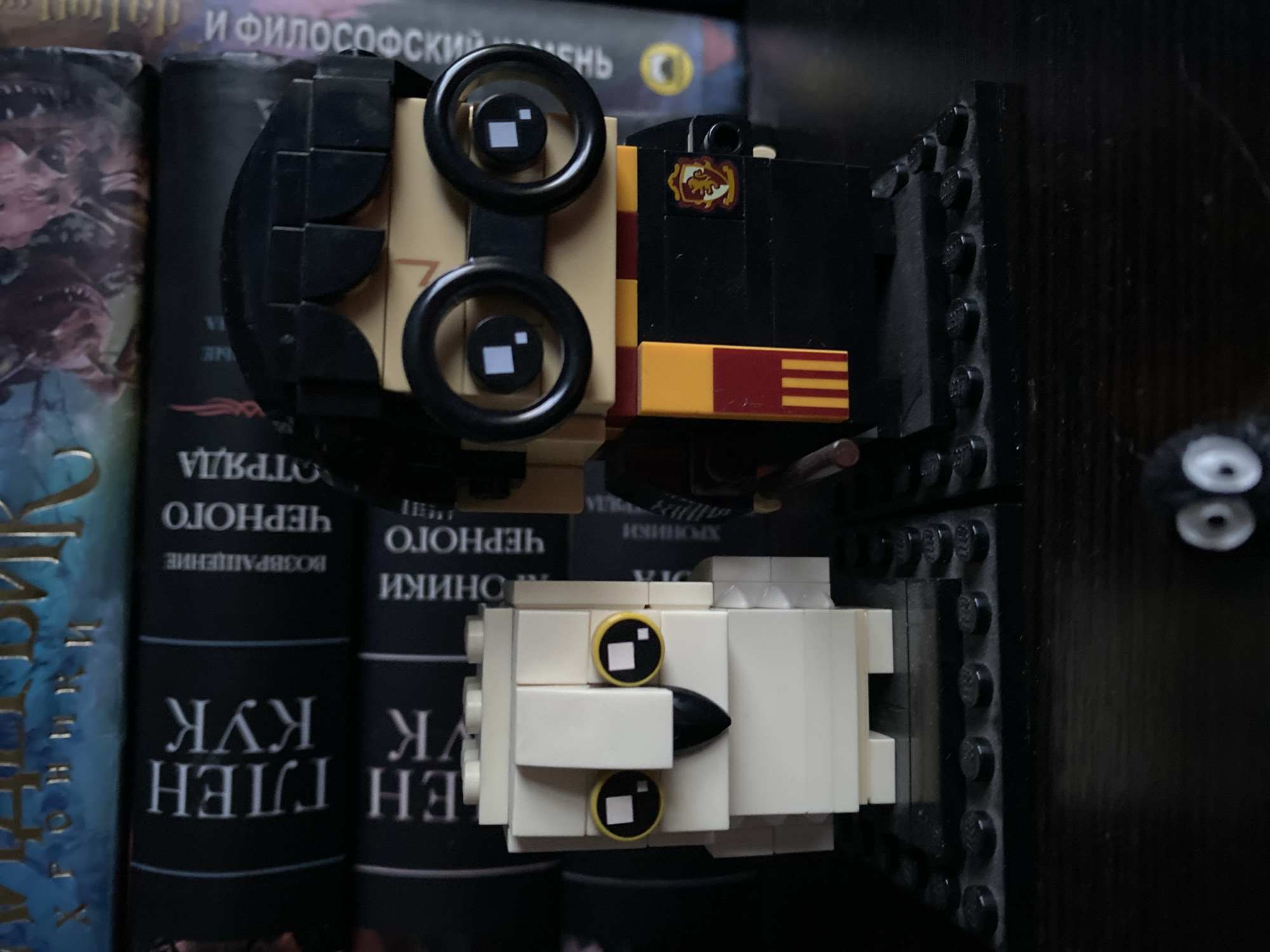 The image shows two Lego brick-built figures positioned on top of books. The top figure is predominantly black and tan, with a crest emblem and striped yellow and red detail. It has two large circular black elements that appear to be eyes. The bottom figure is primarily white, with a black triangular nose and two smaller circular elements used for eyes. The books below have titles in Russian, and the spines suggest a fantasy or historical fiction genre. The setting appears to be a bookshelf, with the book titles, darkness, and bookshelf material creating a moody atmosphere. The picture was not taken in Novokuznetsk, Russia.