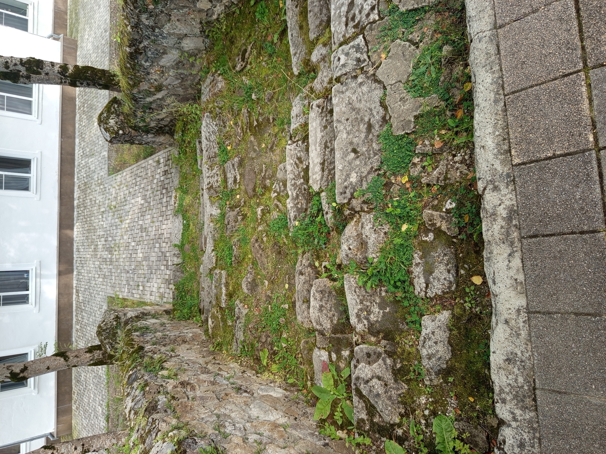 The image shows an outdoor scene with a stone staircase leading down from a paved walkway. The staircase appears old and weathered, with moss and grass growing between the stones. There are trees with moss on their trunks on either side of the stone wall bordering the staircase. In the background, a white building with windows can be seen. The scene is located in Giaginskaya, Russia. There are no people or animals visible in the image.