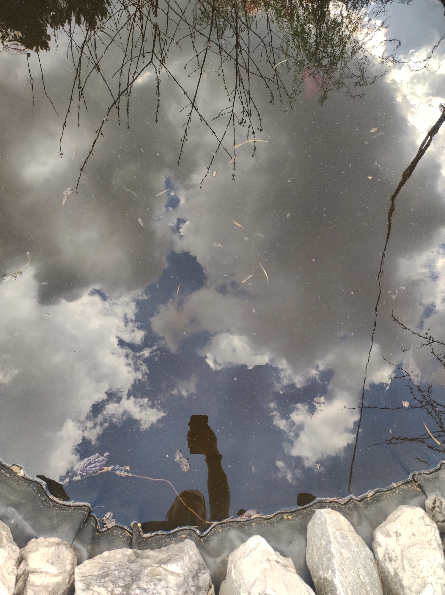The image shows a reflection in a pool of water. The reflection depicts a cloudy sky and the silhouette of a person holding a phone. Branches from nearby trees extend into the upper part of the image, also reflected in the water. The pool is bordered by rocks. The location is unknown and Фоки, Russia cannot be determined from this image.