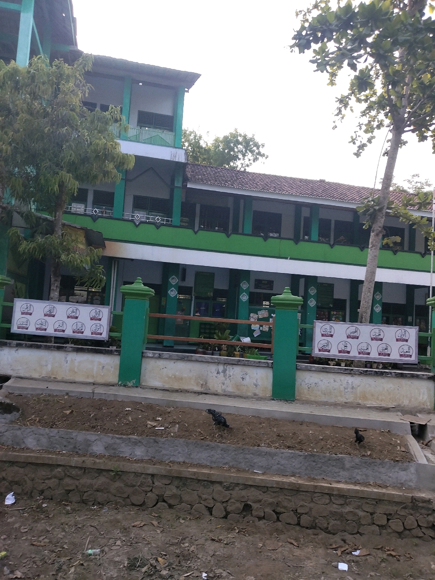The image depicts a two-story building with a green and white facade, likely a school or public institution, situated in Megulung Lor, Indonesia. The building features multiple windows and balconies, with some architectural details suggesting a tropical climate. In the foreground, a fence made of green posts and wooden planks separates the building from a tiered landscape. The lower tier is covered with dry leaves and debris, with a stone wall at the bottom. The middle tier contains a raised garden bed with dark soil, where two black chickens are visible foraging. A white sign with multiple Arabic inscriptions in circular frames is mounted on the fence. Trees with lush green foliage are present on the left and right sides of the building, with the sky visible above. The overall scene is an outdoor view of a building and its surroundings, with elements of nature and human activity.