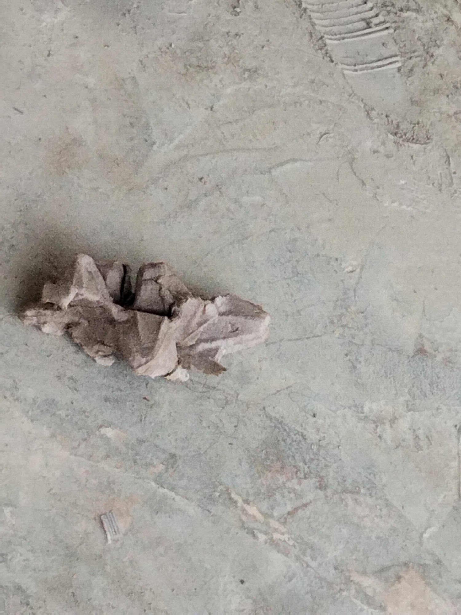 An object, possibly a piece of crumpled paper or a small piece of cardboard, is situated on a light-colored, textured surface, resembling a floor or pavement. The object is irregular in shape and appears to be gray and white. The background surface exhibits subtle variations in color and texture, with some faint lines or markings visible. There is also a faint imprint of what appears to be a shoe tread on the surface towards the top right of the image.