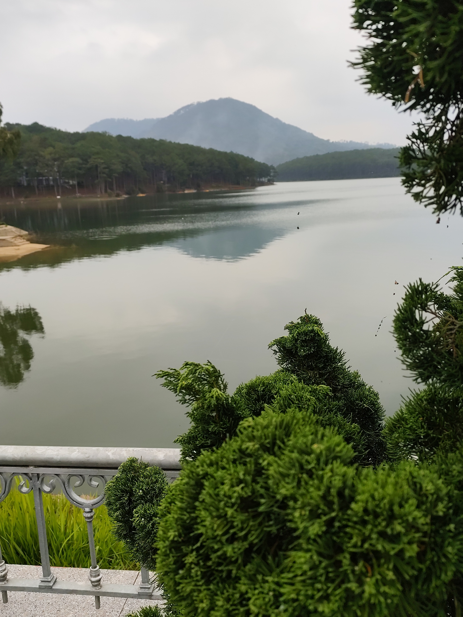 The image depicts a lake surrounded by trees and a distant mountain range in Da Lat, Vietnam. The sky is overcast. In the foreground are green bushes near a metal railing. The lake's surface is calm and reflects the surrounding trees and sky.