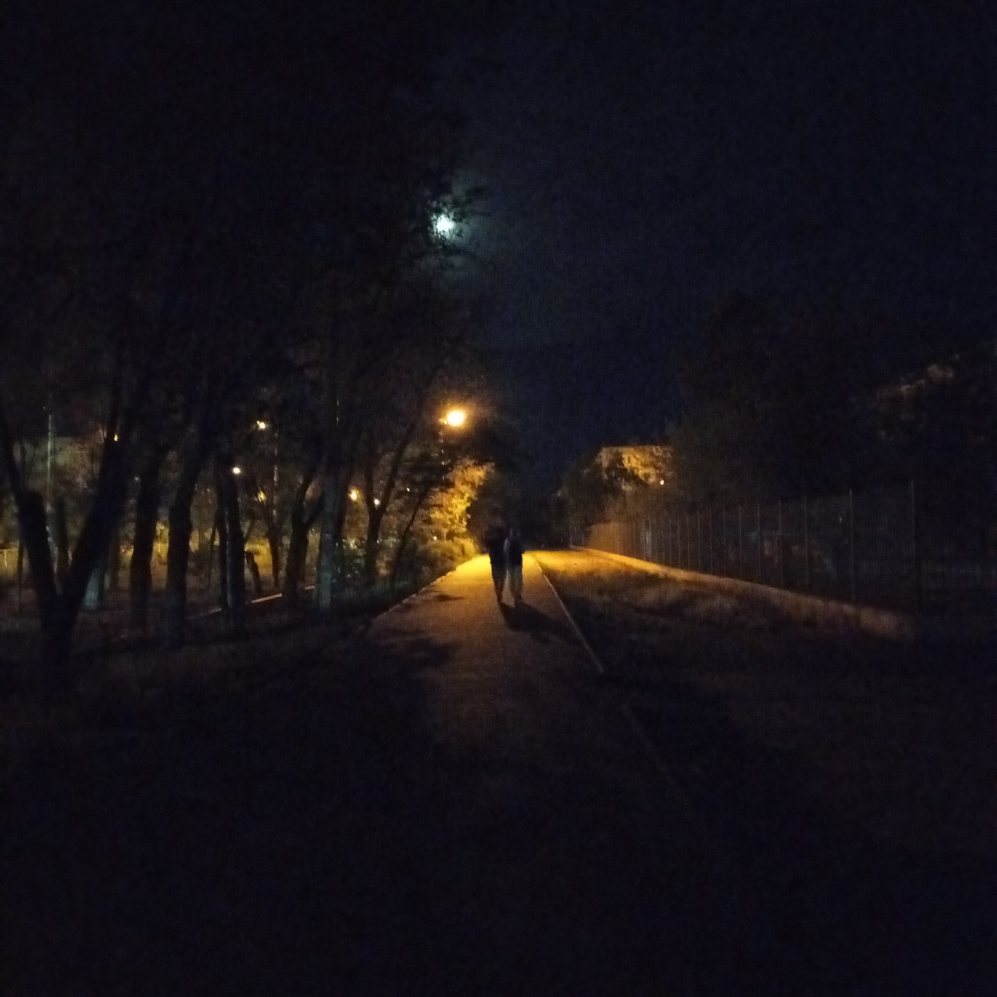 An outdoor nighttime scene, the image depicts a paved walkway under a dark sky illuminated by a bright moon visible through light clouds. Trees line the left side of the walkway, their branches silhouetted against the night sky. Streetlights cast an orange glow in the distance, some appearing through the trees. Two figures, appearing as dark silhouettes, are walking away from the viewer on the walkway. A chain-link fence is visible to the right of the walkway. The location is the Astrakhan State University campus in Astrakhan, Russia, specifically a path near the main university building.