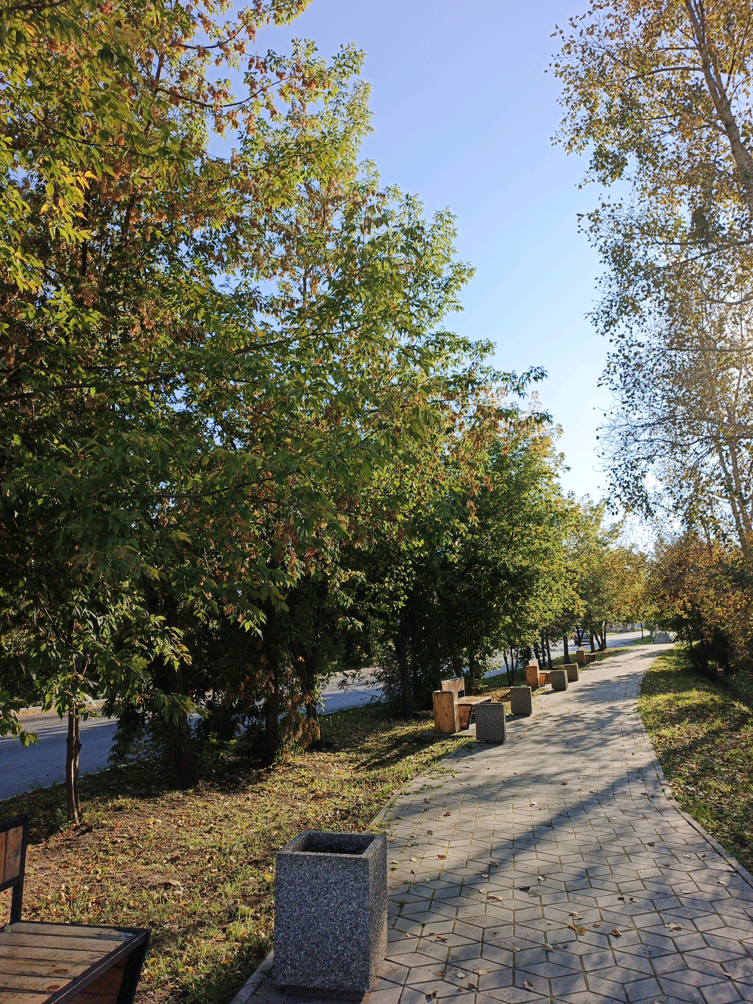 The image shows a paved pedestrian walkway lined with trees, benches, and trash receptacles. The walkway is constructed from hexagonal paving stones and is illuminated by sunlight casting shadows. The trees, some with green leaves and others with autumnal foliage, create a canopy overhead. Several wooden benches and stone trash bins are strategically placed along the path. The ground is covered in grass and fallen leaves, suggesting it is autumn. The scene appears to be a park or a tree-lined street in Zlatoust, Russia, given the context. There are no people or animals visible in the image.