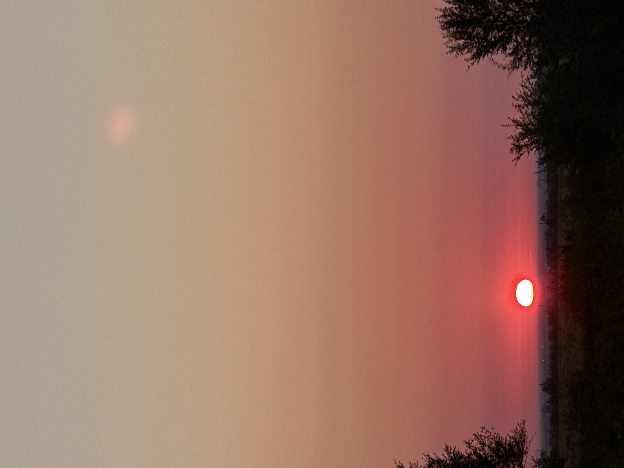 A wide-angle, vertical photograph captures a sunset over a rural landscape in Pugachyov Rural District, Kazakhstan. The sun, a bright white orb with a red halo, is positioned low on the horizon, casting a warm orange and pink glow across the sky. Silhouetted trees frame the bottom of the image, with darker foliage on the left and right edges. A faint, rosy smudge is visible in the upper right portion of the sky, possibly a celestial object or atmospheric phenomenon. The ground is dark and indistinct, suggesting it is either nighttime or a heavily shadowed area. The overall scene evokes a sense of natural beauty and tranquility.