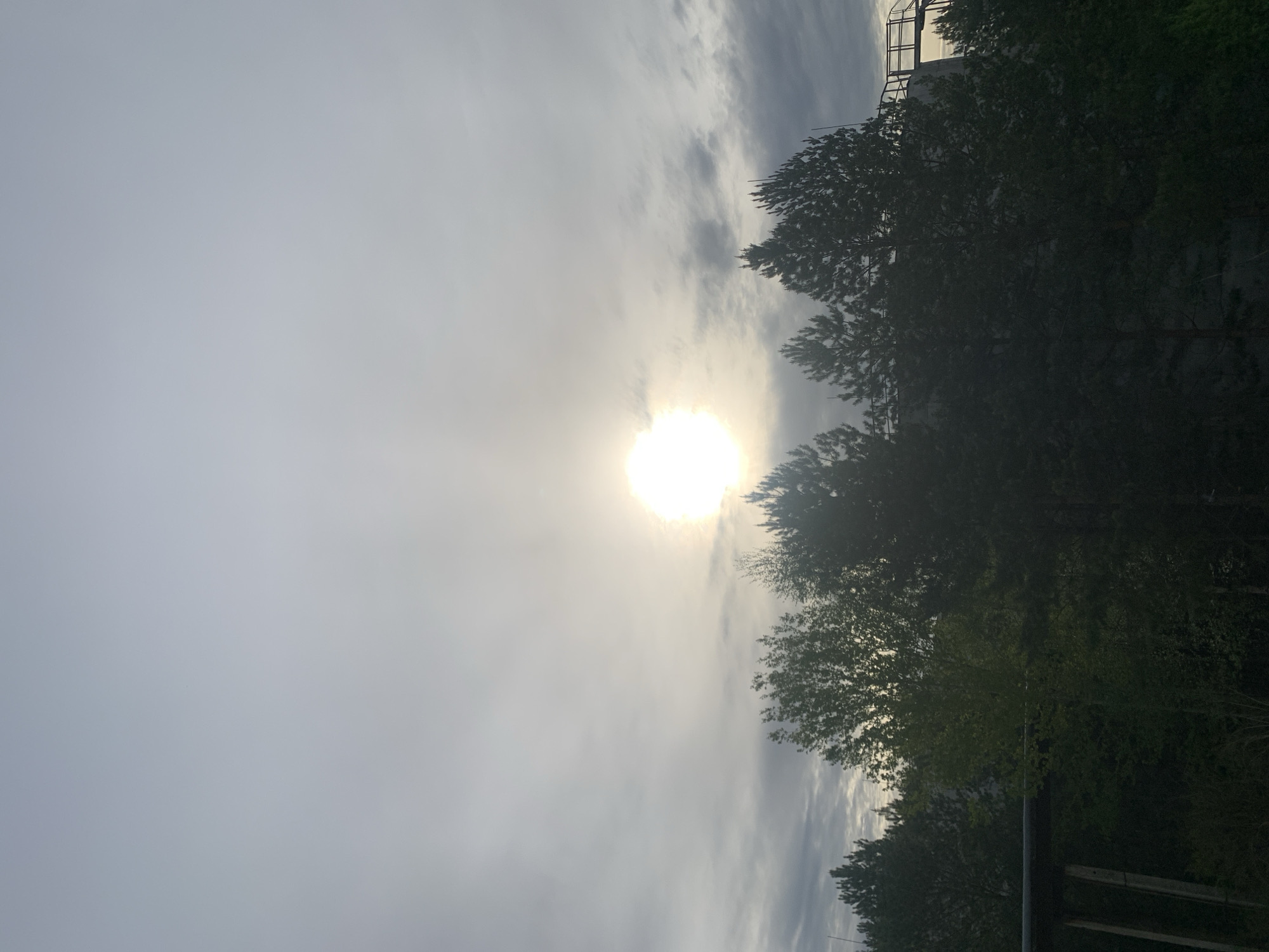 The image shows a bright sun shining through a cloudy sky, with trees lining the right side of the frame. A building can be seen in the upper right corner. The image's location may be in the city of Chaikovsky, Russia.
