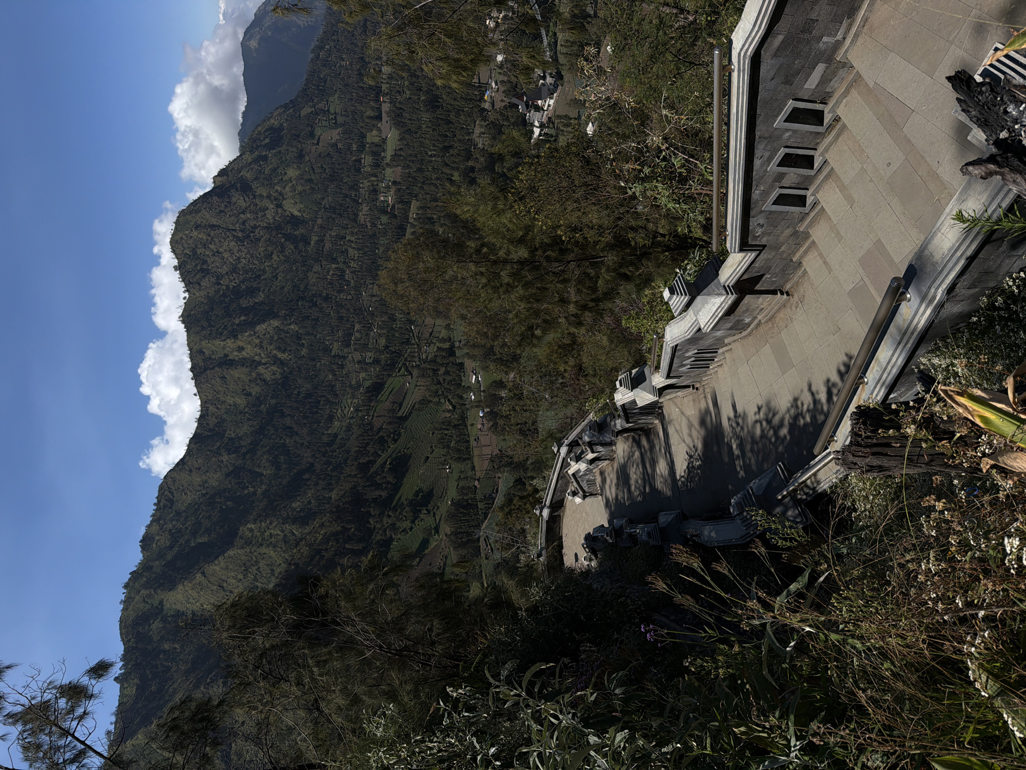 In Cemorolawang, Indonesia, a scenic view captures a wide landscape from a high vantage point. In the foreground, a grand stone staircase with ornate grey stone railings descends. The staircase is flanked by lush green vegetation, with dried grasses and small white flowers in the lower left and right corners, and branches of evergreen trees framing the top of the scene. Beyond the staircase, the midground reveals a densely forested valley with a winding road and scattered small buildings. The background is dominated by large, verdant mountains under a bright blue sky dotted with fluffy white clouds. The lighting suggests it is daytime, likely mid-morning or afternoon, with the sun casting shadows across the staircase. There are no people or animals visible in the image.