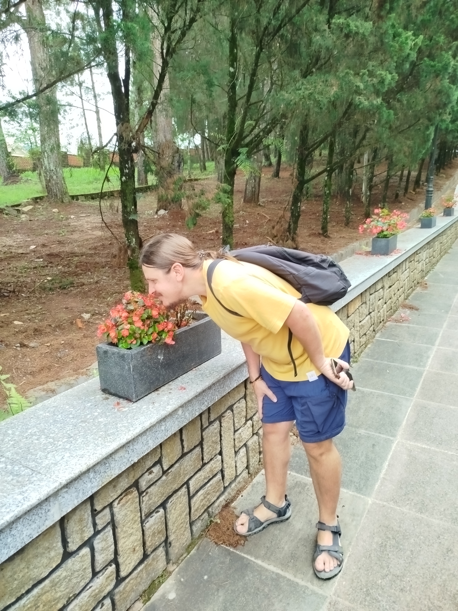 A man with light brown hair tied in a ponytail, wearing a yellow t-shirt, blue shorts, and grey sandals, bends down to smell a cluster of vibrant orange-pink flowers in a dark grey rectangular planter. A black backpack rests on his shoulders. He appears to be enjoying the fragrance, with his eyes closed and a subtle smile on his face.
The man stands on a grey tiled pathway, adjacent to a sturdy stone wall composed of rough-hewn, light-colored rectangular blocks, topped with a smooth, lighter grey granite slab. Beyond the wall and the planter, a dense forest of tall, slender trees, likely conifers or pines, stretches into the background. The ground beneath the trees is covered with reddish-brown pine needles or leaf litter. The sky is overcast, casting a soft, diffused light across the scene, indicating daytime under cloudy weather. Several other similar planters with flowers are visible along the wall further down the path. The setting is an outdoor, possibly park-like, environment in Cam Ly, Đà Lạt, Vietnam, conveying a sense of peace and connection with nature. There is no visible text.