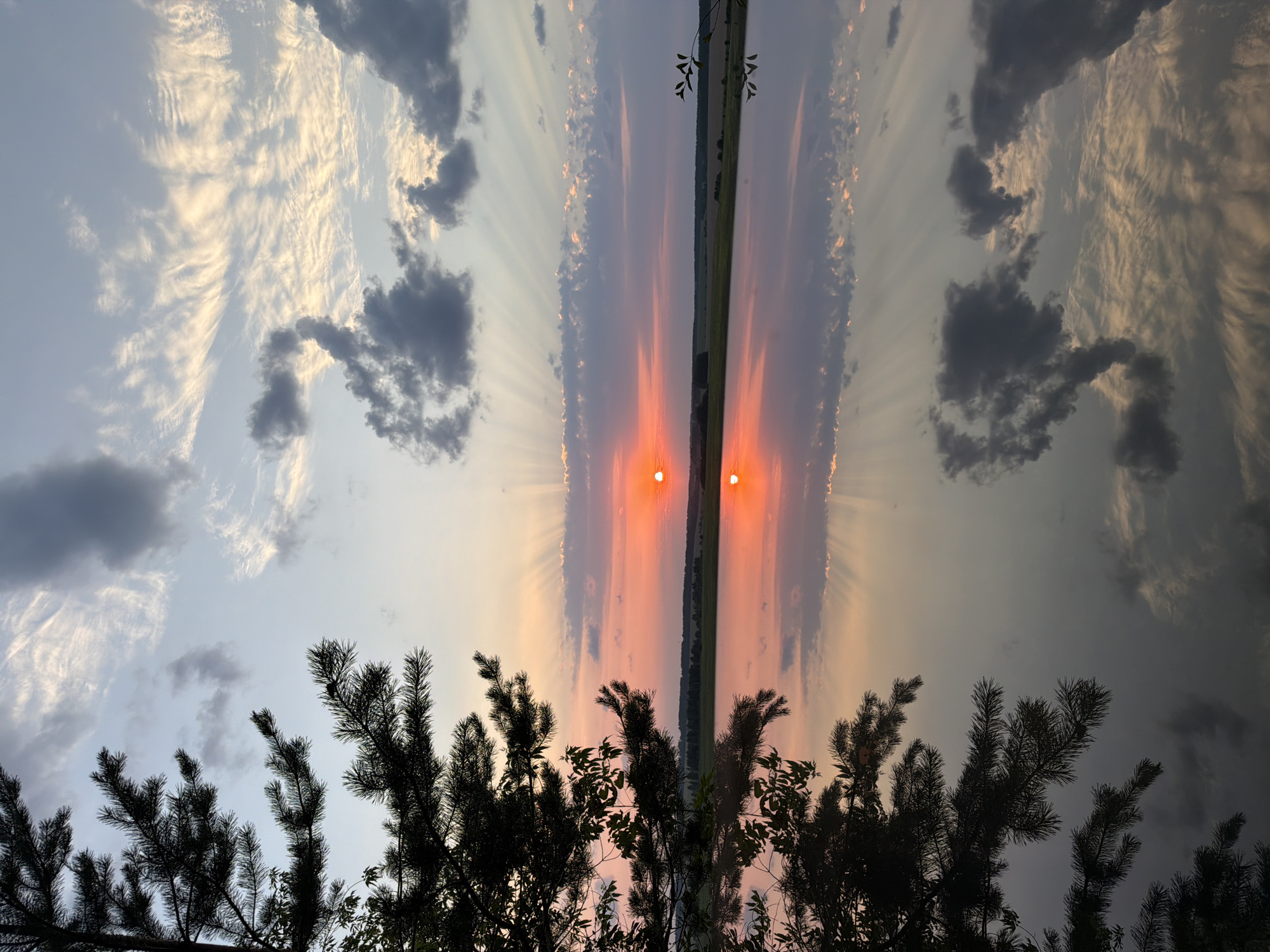 The image depicts a serene sunset over a body of water, likely a lake or a wide river, in or near Lubyantsy, Russia. The sun, a vibrant orange orb, is low on the horizon, casting a warm glow and creating a spectacular display of crepuscular rays that fan out across the sky. Wispy, light-colored clouds are scattered throughout the upper portion of the sky, intermingled with darker, more defined cloud formations. These clouds are beautifully reflected in the calm, glassy surface of the water, creating a mirror image of the sky above.
In the foreground, the dark silhouette of pine tree branches, with their distinctive needles, juts in from the left side of the frame, adding depth and a natural frame to the scene. The water's surface also reflects the dark foliage of the tree. Beyond the water, a distant tree line and fields suggest a rural or semi-rural landscape, consistent with the location in Lubyantsy. The overall atmosphere is one of tranquility and natural beauty, with the sunset painting the sky and water in hues of orange, pink, and purple. There are no people or animals visible in the image.