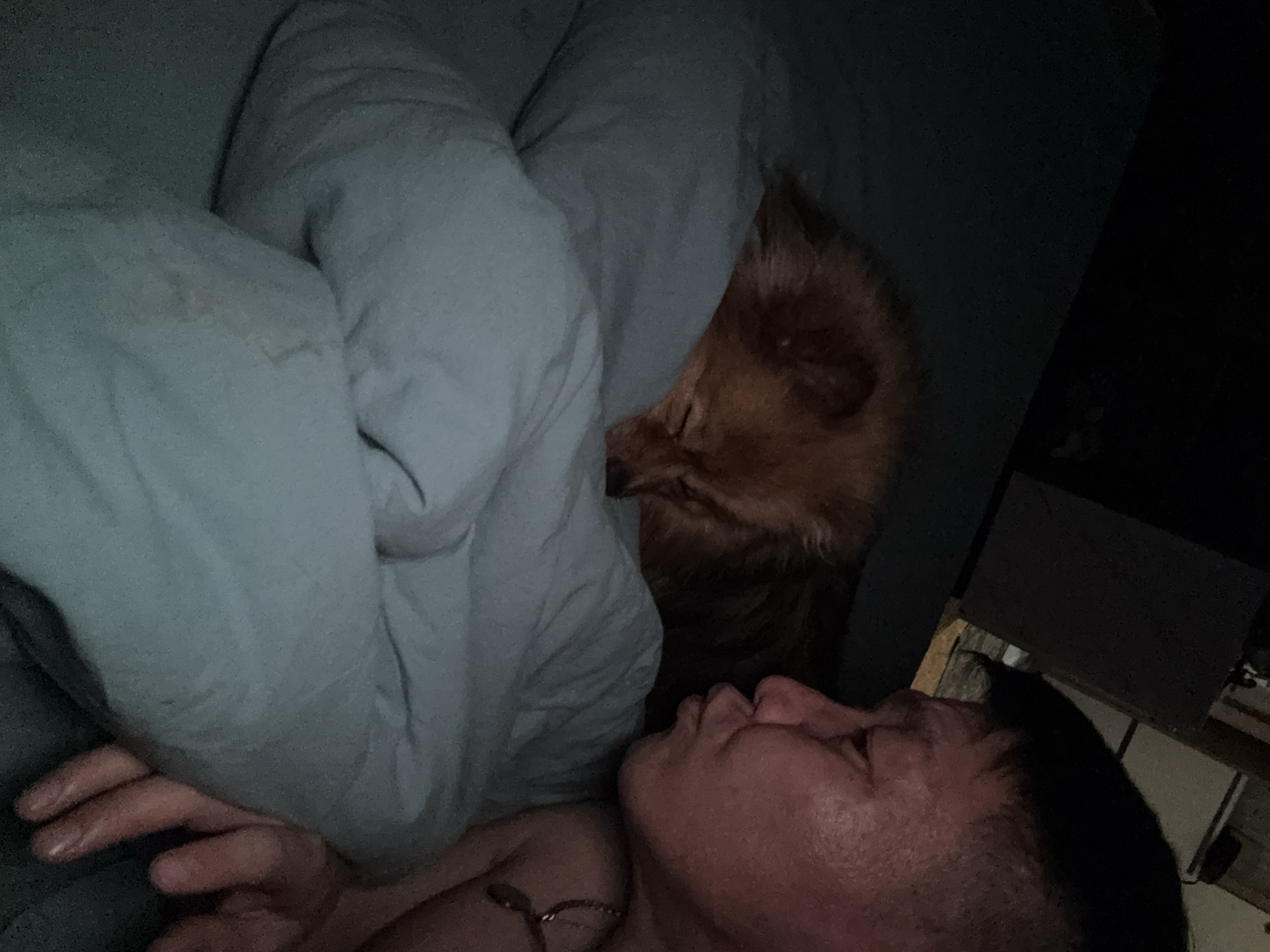 A person and a dog are in bed. The person is lying on their back, facing the camera, with their head on a pillow and a blanket partially covering them. The dog, a small, brown breed, is nestled under the blanket, near the person's head. The lighting is dim, and the surrounding environment is dark, possibly a bedroom. The location of Khimki, Russia, is not discernible from the image.