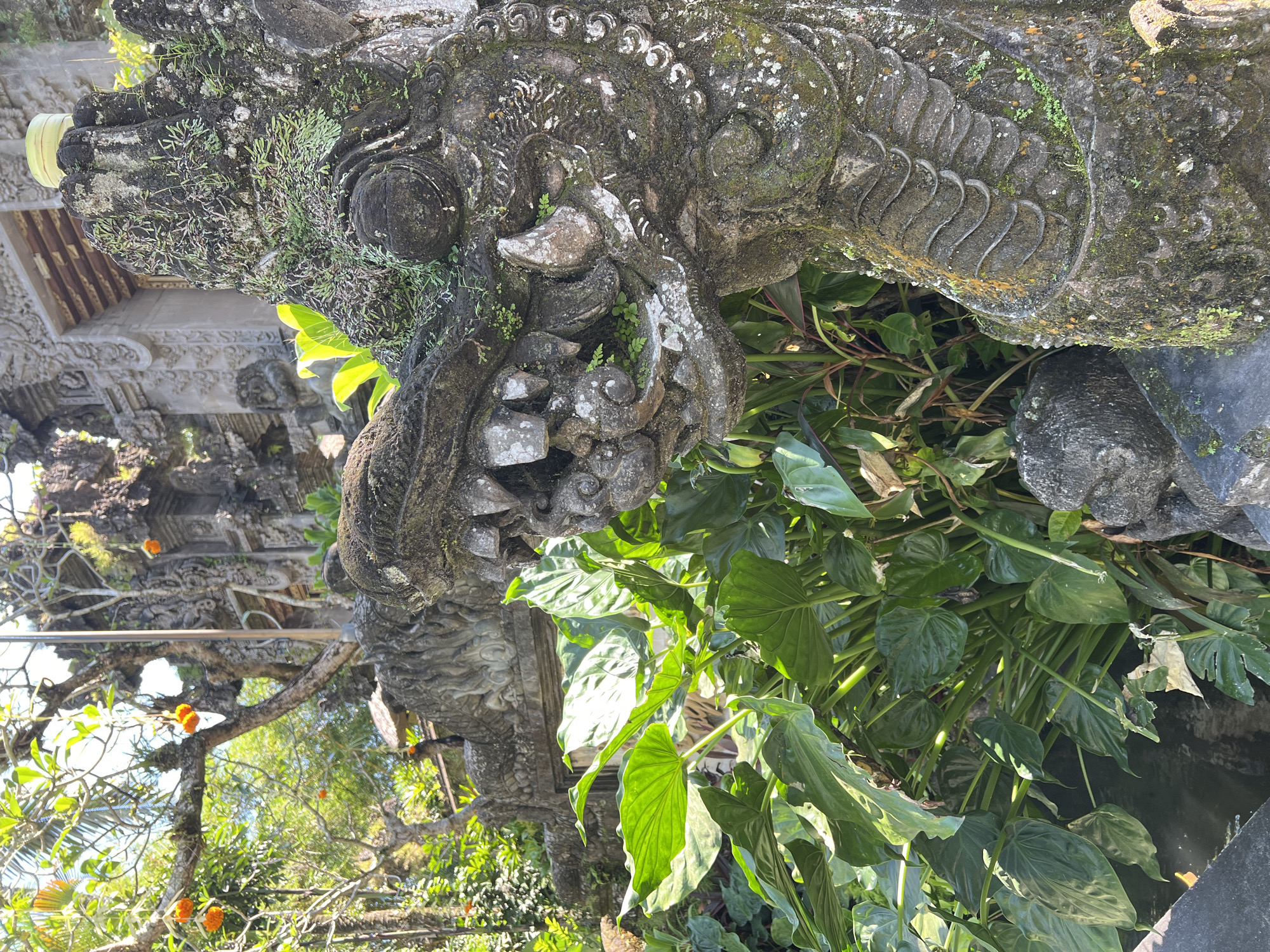 The image features a weathered stone carving of a mythical creature, possibly a Balinese dragon, covered in moss and lichens. The sculpture is located in Kedewatan, Indonesia. Lush green foliage surrounds the base of the carving. In the background, a traditional Balinese temple structure is visible, adorned with intricate carvings and decorations. A tree with orange flowers is seen behind the temple.