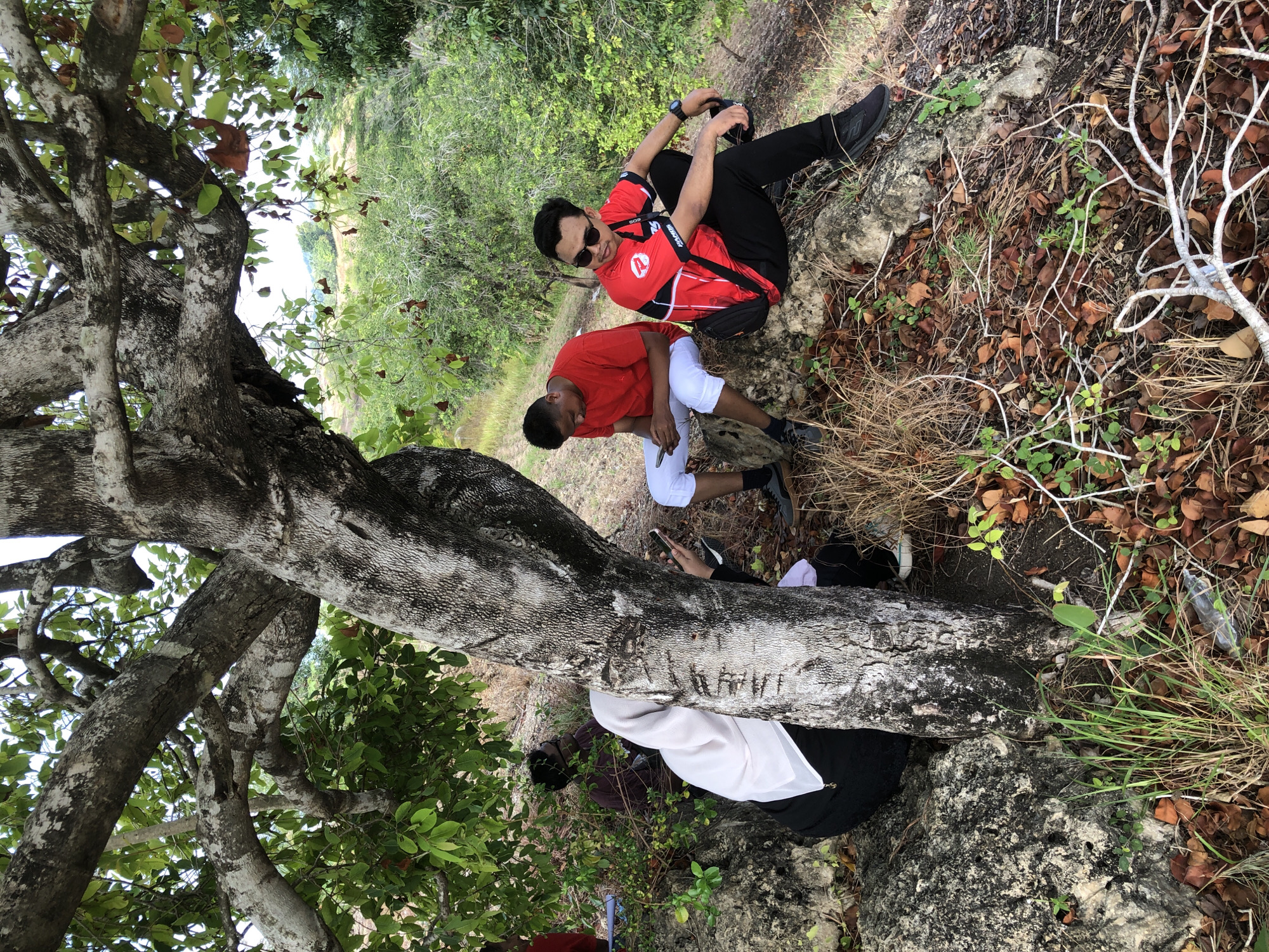 The image depicts a group of people resting under a large tree with rough, textured bark. The location appears to be a natural, outdoor setting, possibly a park or a wooded area on a slight incline.
In the foreground, a person wearing a white hijab and dark clothing is seated near the base of the tree, looking at a mobile phone. To their right, a person wearing a black head covering is also seated. Further to the right, two men are sitting on rocks. One man, wearing a red and black sports shirt, black pants, and sunglasses, is looking to his left and has a watch on his left wrist. The other man, wearing a red t-shirt and white pants, is looking down at his phone. Behind the seated individuals, more people are visible, including one wearing a dark-colored shirt.
The ground is covered with dry leaves, twigs, and patches of grass. Large rocks are scattered around the base of the tree. The background shows lush green vegetation and trees, with a slightly rolling landscape. The sky is overcast.
While the image does not provide explicit markers for Lhokseumawe, Indonesia, the visual characteristics of the vegetation, tree type, and general landscape are consistent with tropical or subtropical environments found in regions like Aceh, where Lhokseumawe is located. The presence of people in casual attire suggests a relaxed outdoor activity, possibly a break during a hike or excursion.