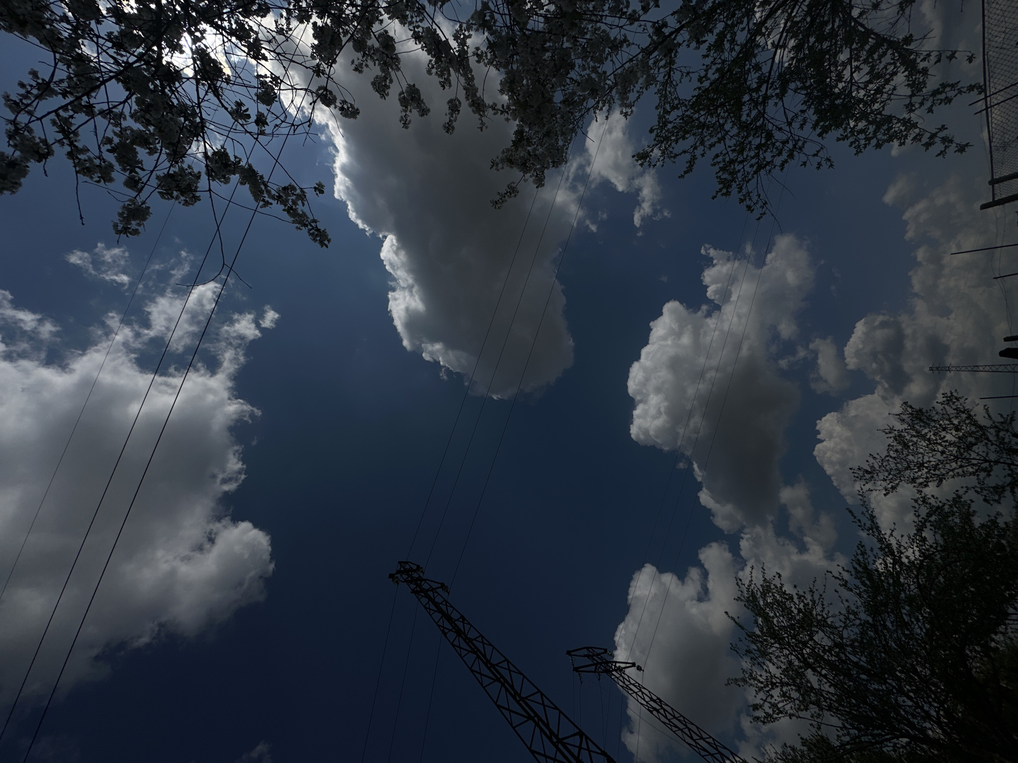 The image shows a low-angle view looking up at a partly cloudy sky. Two lattice towers, possibly electricity pylons, are visible in the lower center, extending upwards. Overhead power lines stretch across the sky. Trees with blooming flowers are present in the upper left and right corners, with branches obscuring portions of the sky. The sky is blue with white and gray clouds. Faint fence is seen at the top right corner. The location is suggested to be Montana, Bulgaria, but there are no landmarks in the image that would confirm this.