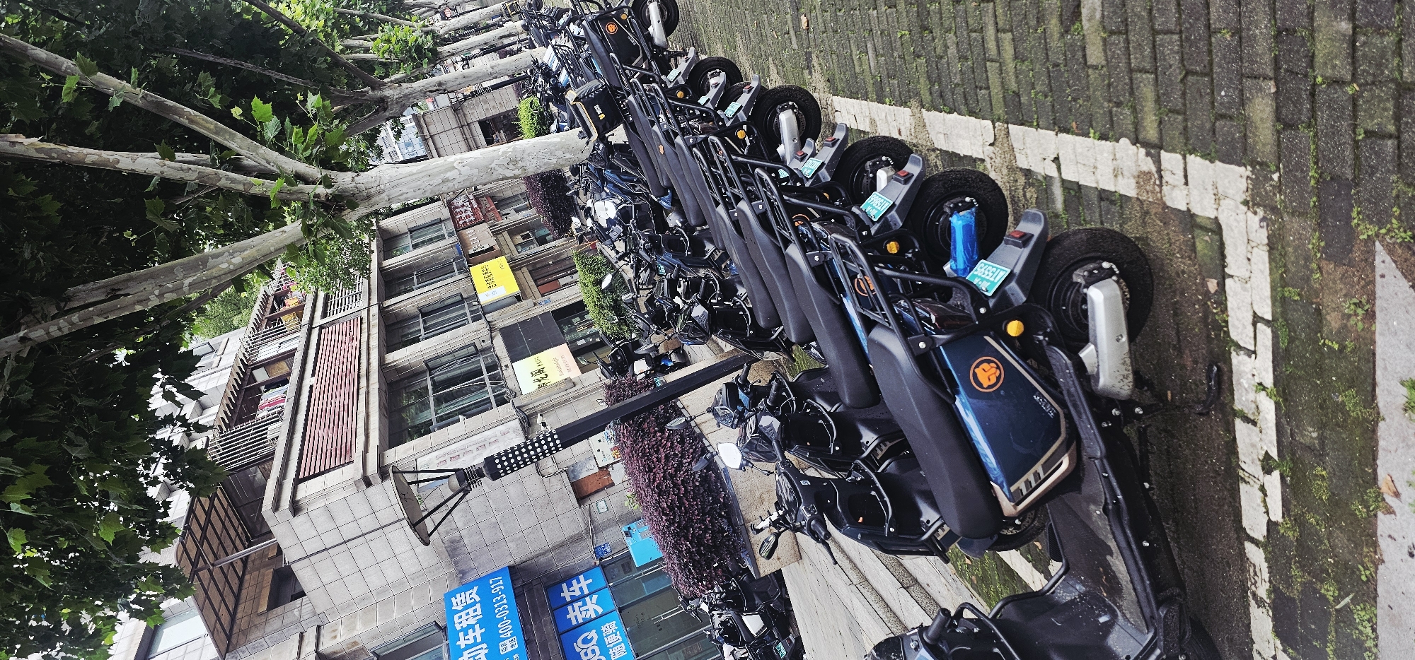 A street scene in the Jiulongpo District, China, shows a row of parked electric scooters. The scooters are lined up on a brick-paved area designated by white painted lines. Buildings are visible in the background, along with street signs in Chinese. Trees with white bark are present, casting shadows on the street.