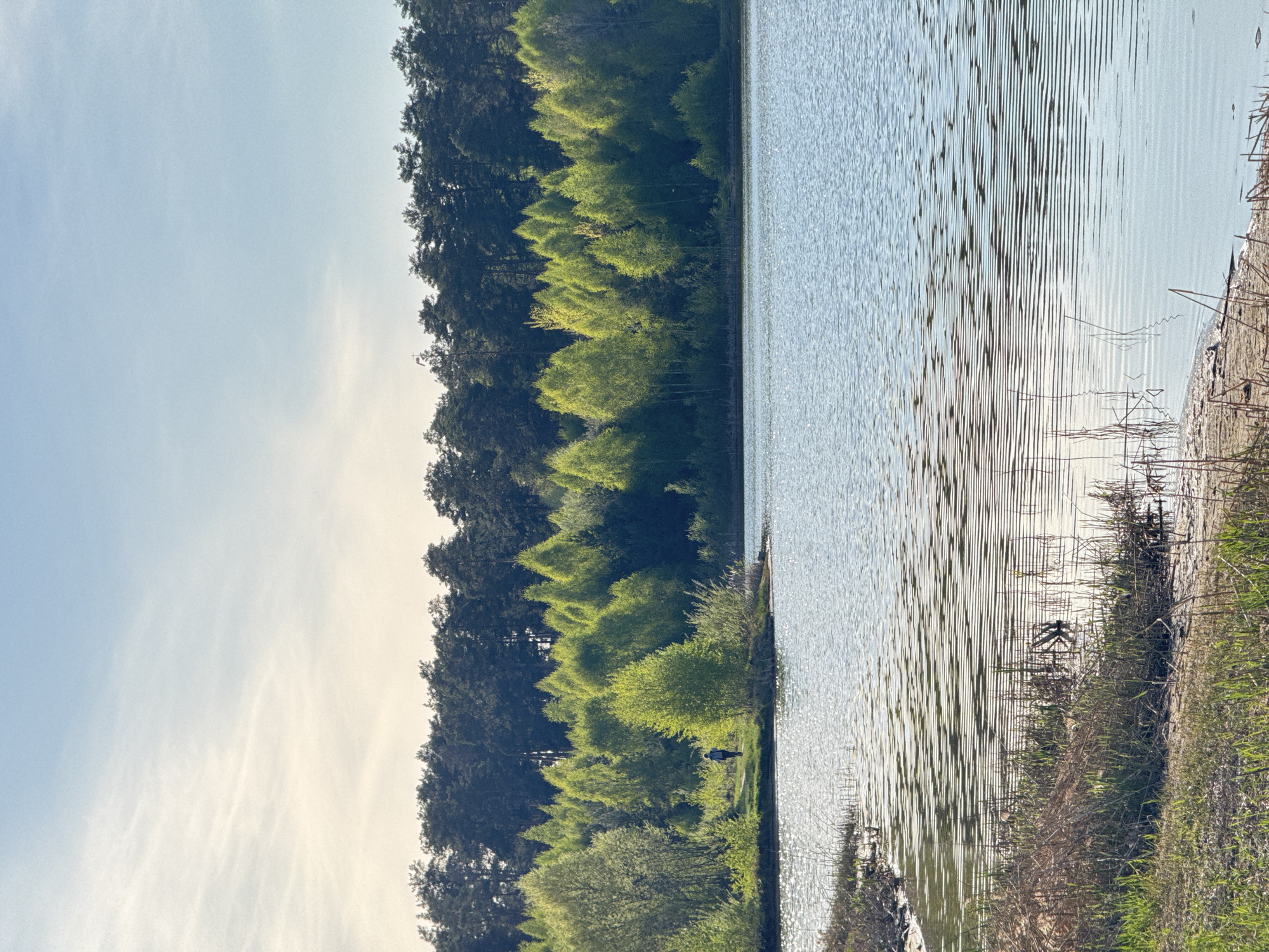 A landscape photograph depicts a body of water bordered by a wooded area and a shoreline. The water shows signs of ripples and waves, suggesting a slight breeze. Along the shoreline, there are patches of grass and vegetation. The wooded area has varying shades of green, indicating different types of trees or foliage. The sky is a pale blue with faint cloud formations. The location is potentially in Kazan, Russia, however, without additional information, this detail cannot be conclusively verified.