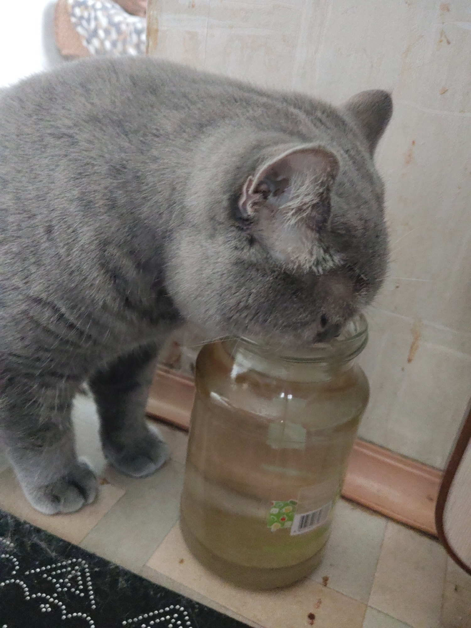 A gray cat is positioned with its head inside an open glass jar. The jar is on a tiled surface, likely a floor or countertop. A small, possibly decorative, black object with white dots is visible in the lower left corner. The background consists of a patterned wall and a portion of furniture with a beige fabric.