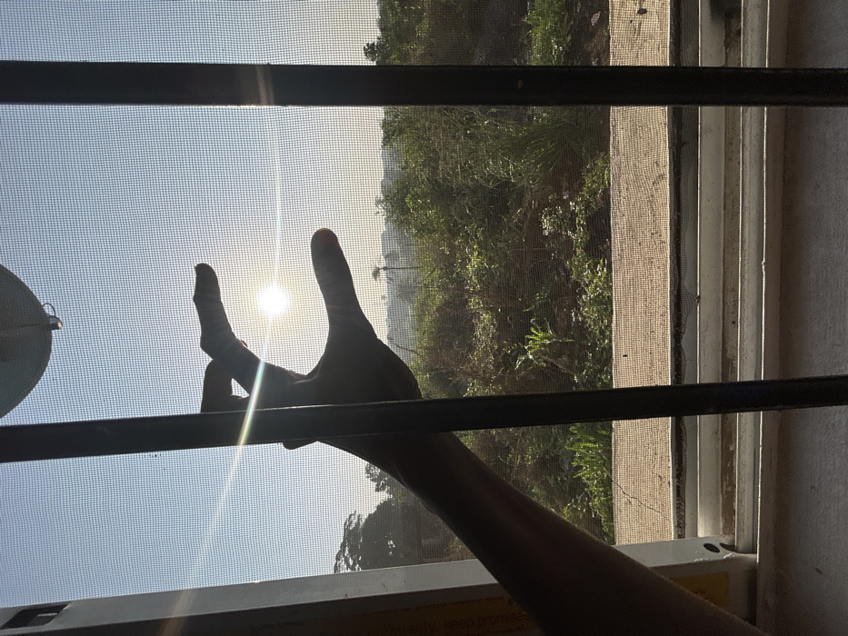 This image, captured in Debasco, Nigeria, depicts an outdoor scene viewed through a window from an interior vantage point. The window features a fine mesh screen and two dark vertical security grilles. A human left hand is silhouetted in the upper-left, with its index finger and thumb curled to partially frame a brilliant, low-lying sun, which emits strong lens flare across the frame. The background consists of a clear, light blue sky above a sprawling, dense landscape of green vegetation and trees. A slender palm-like tree is visible in the distant mid-right. The window frame and a weathered sill are present in the foreground at the bottom. A light-colored, curved object is partially visible at the top edge of the frame.