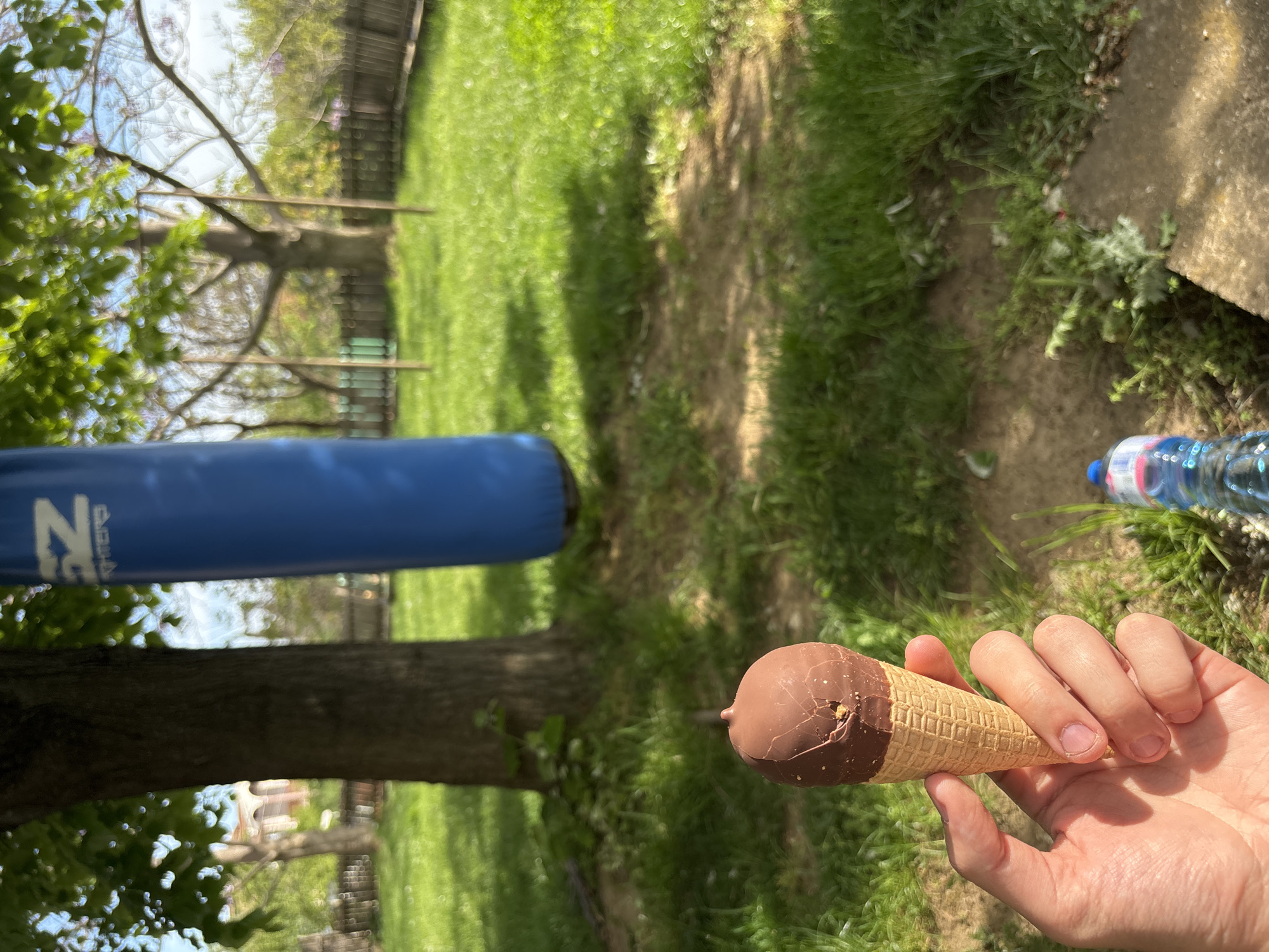 A person is holding a chocolate-covered ice cream cone in an outdoor setting. The background includes green grass, trees, a blue cylindrical object, a fence, a water bottle, and a concrete slab. No people are visible except for the hand holding the ice cream cone. The location is not discernible as being Goritsa, Bulgaria.