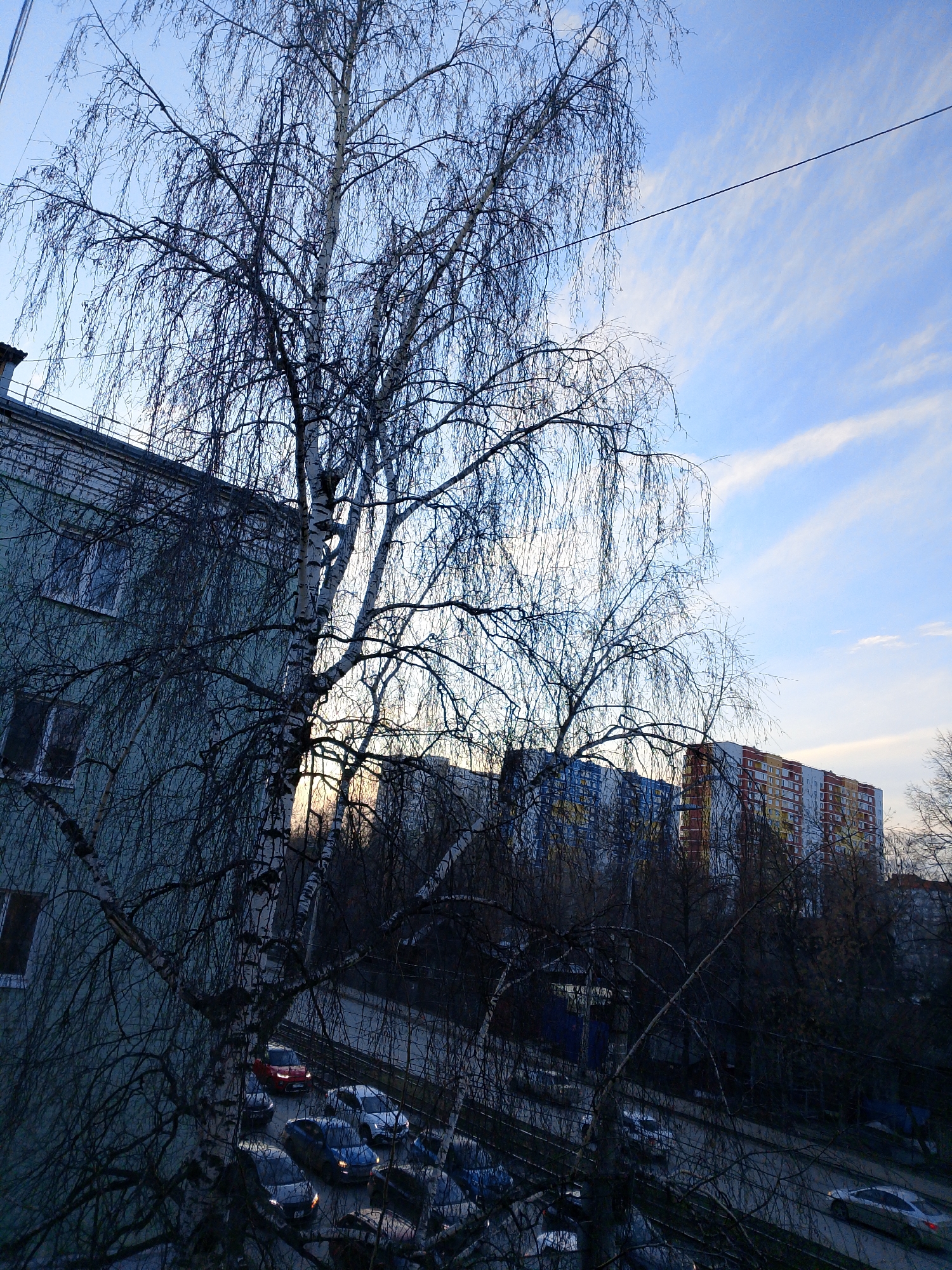 The image shows a view from an elevated position, likely a window, overlooking a street scene in Izhevsk, Russia. Dominating the foreground is a birch tree with bare branches, characteristic of late fall or winter. To the left, a building with a light green facade and visible windows is partially in view.
Below, a street is visible with several parked cars. In the background, taller apartment buildings can be seen, some with colorful facades. The sky is blue with streaks of white clouds. There is a power line running across the top of the frame. The overall lighting suggests it is either early morning or late afternoon.