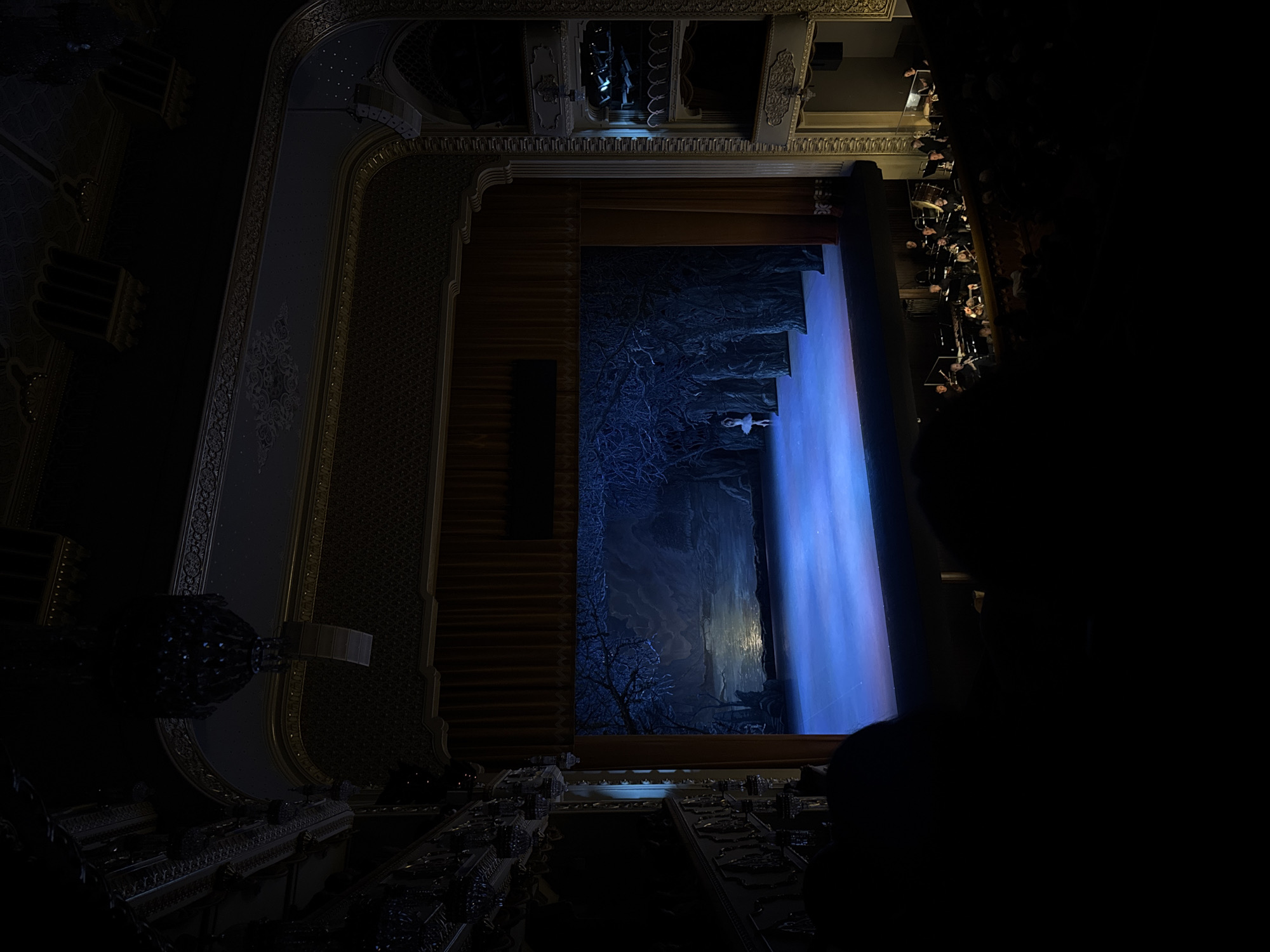 The image shows an elevated view of a theater stage, most likely taken from a balcony. The location is the Tbilisi Opera and Ballet State Theatre in Tbilisi, Georgia, recognized by its opulent, ornate interior architecture.
The stage is set for a ballet performance, with a backdrop depicting a wintry or fantastical forest scene rendered in shades of blue and dark green. A single ballerina in a white tutu is visible on the stage. A prominent blue light illuminates the scene.
To the sides of the stage, the theater's interior is visible. The walls are richly decorated with gold trim and patterned surfaces. Audience members are visible in the upper balconies on the right. There is an orchestra pit visible in front of the stage, with numerous musicians. The seats in front of the balcony are visible. The architectural details, including the ornate molding and lighting fixtures, are partly obscured by shadows.